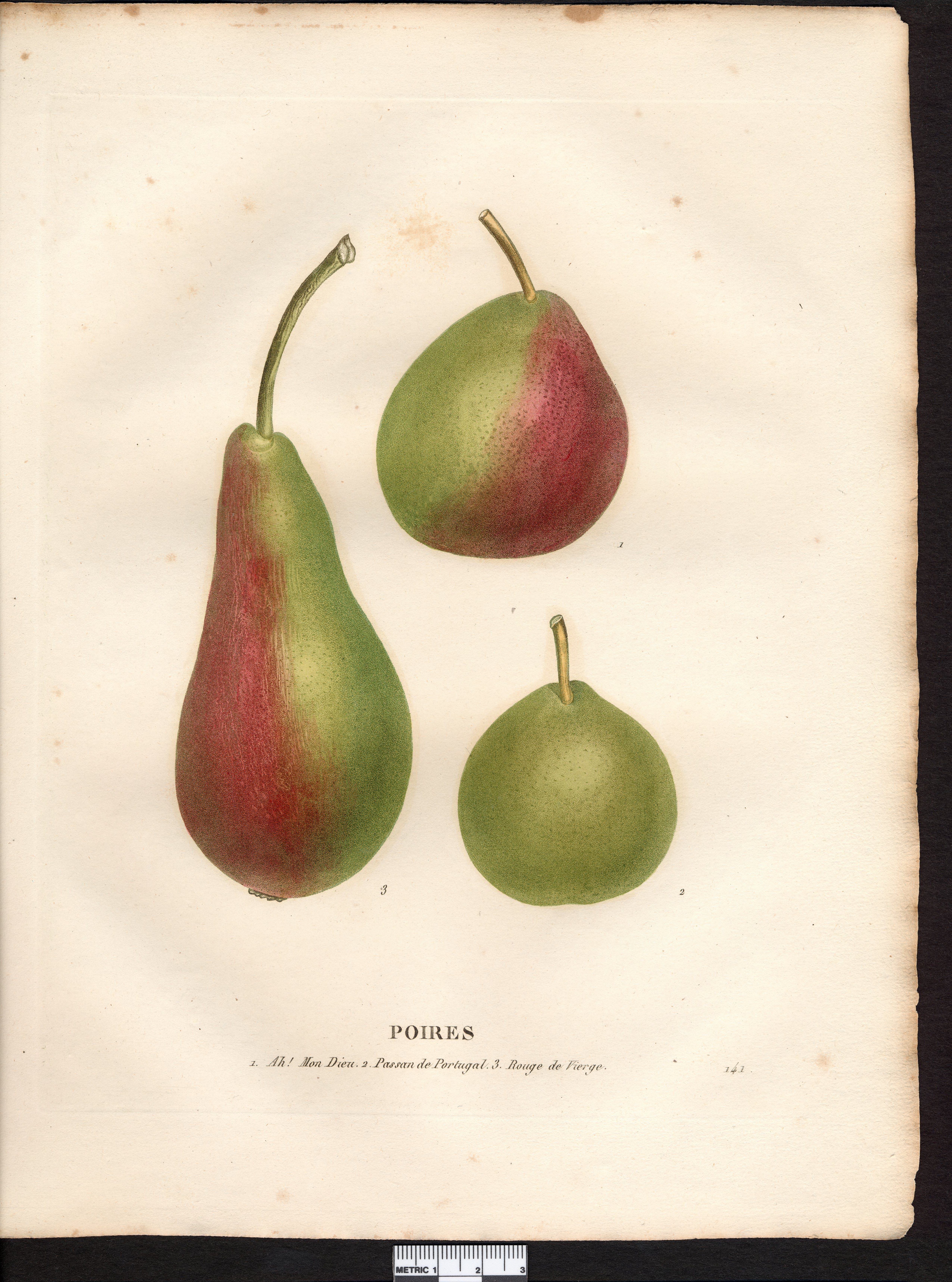 no full size  illustration available (3a)