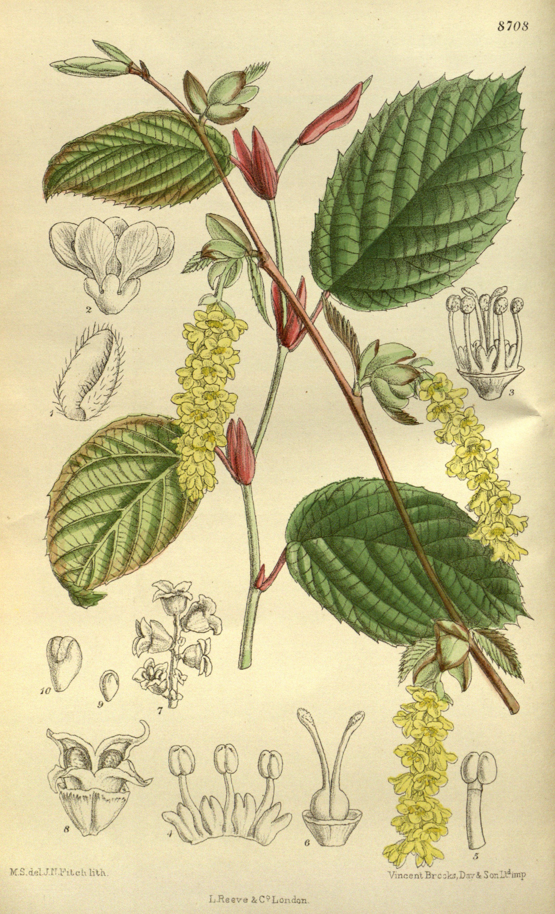 no full size  illustration available (3a)