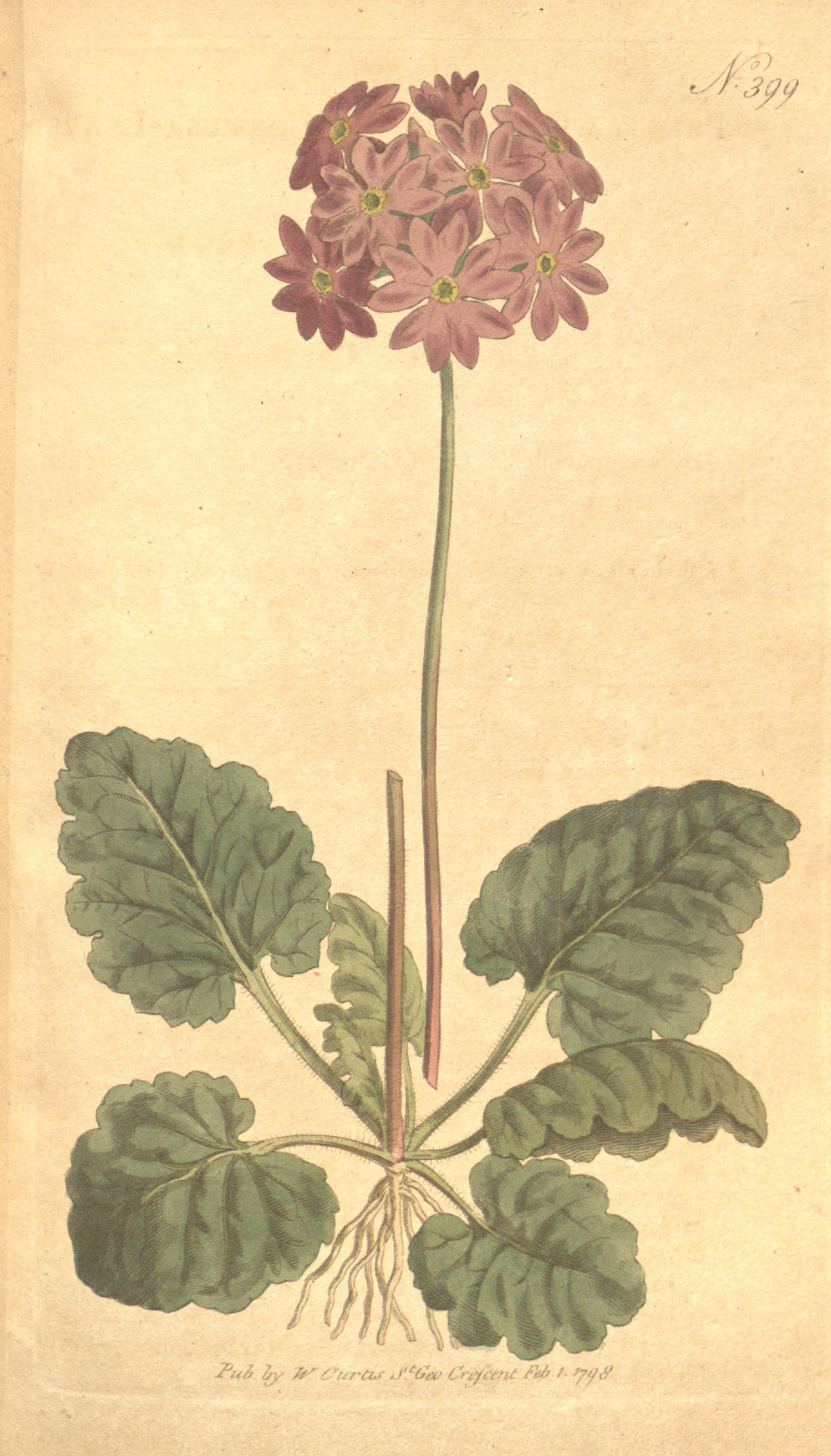 no full size  illustration available (3a)