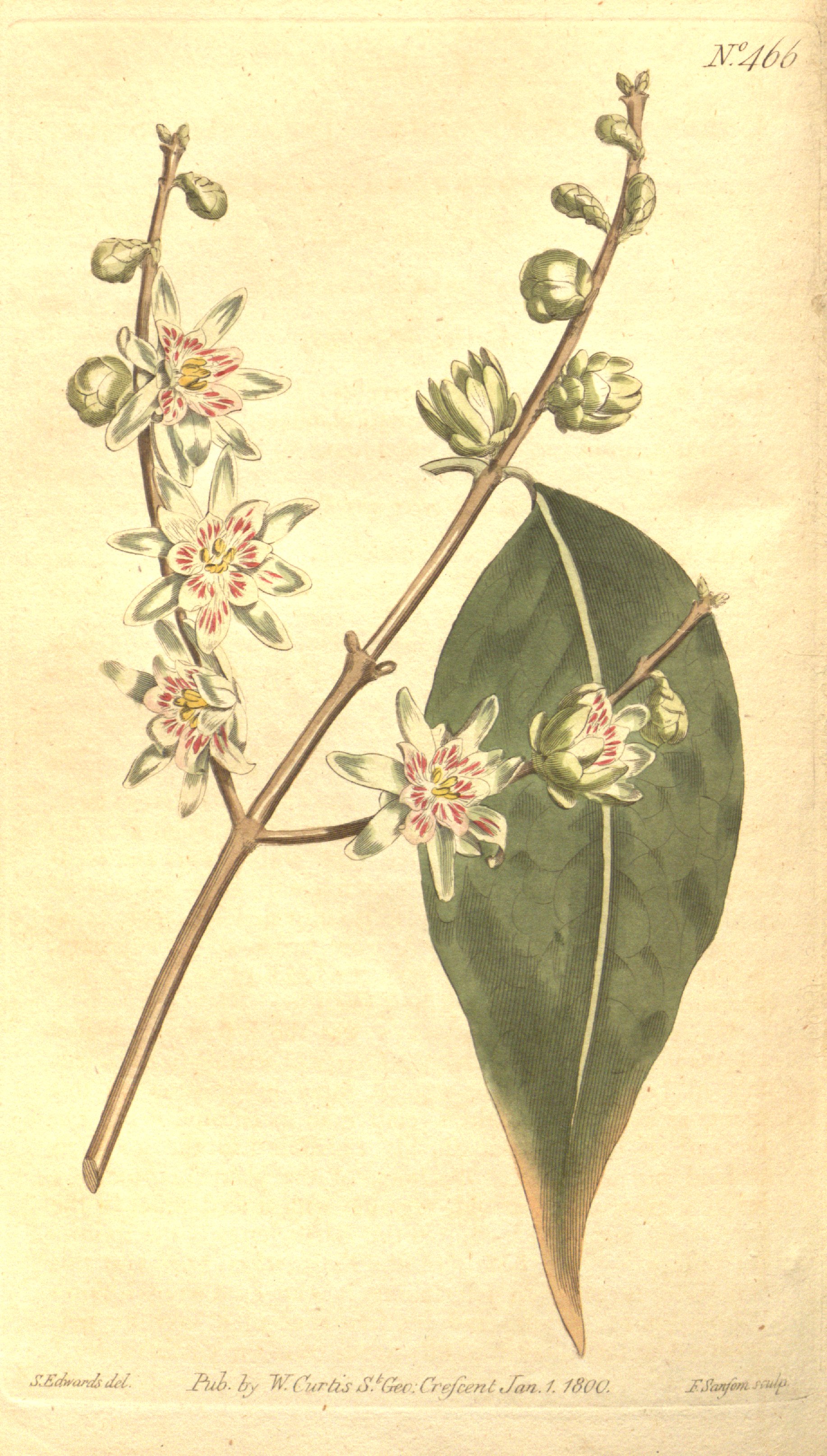 no full size  illustration available (3a)