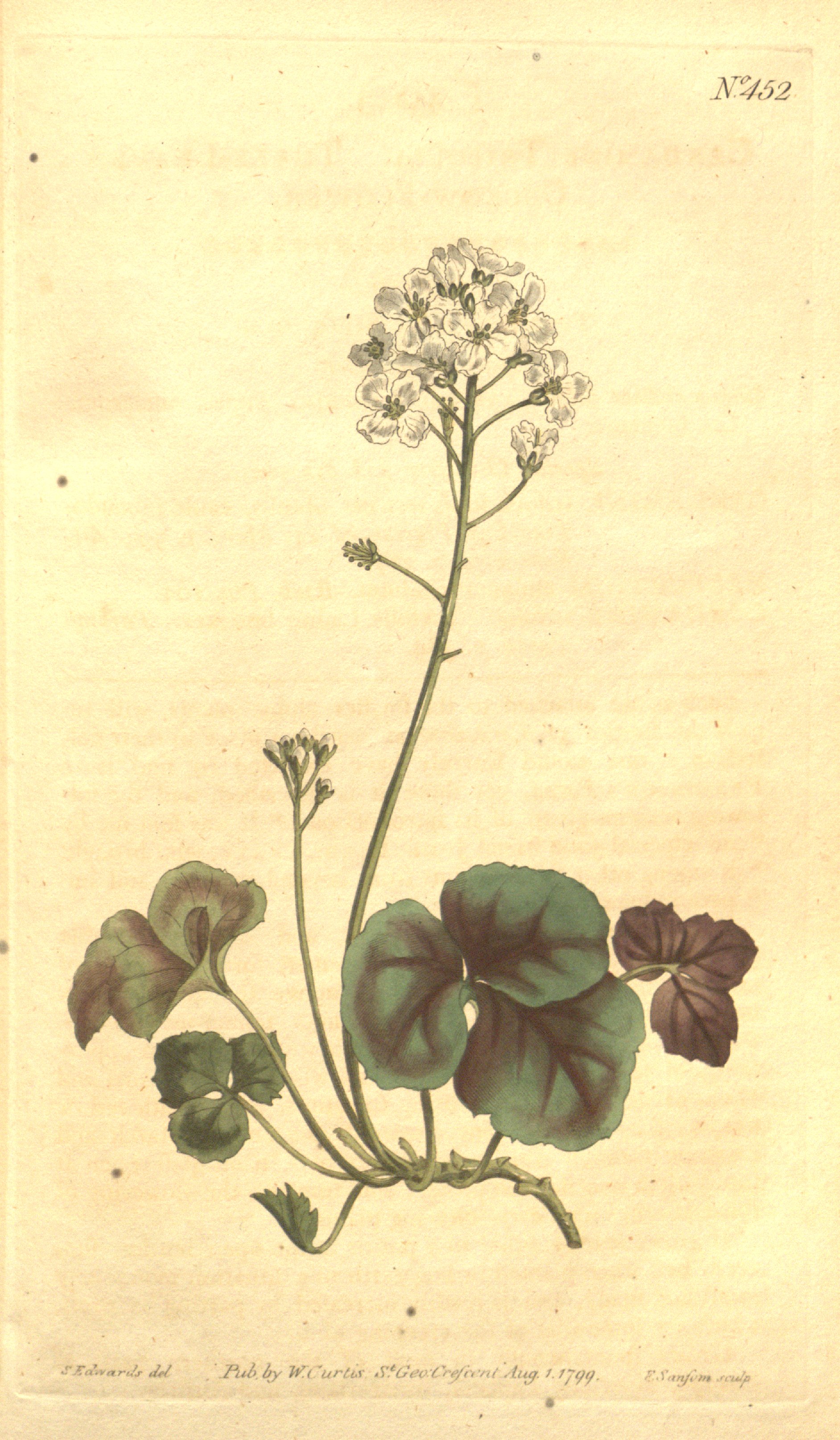 no full size  illustration available (3a)