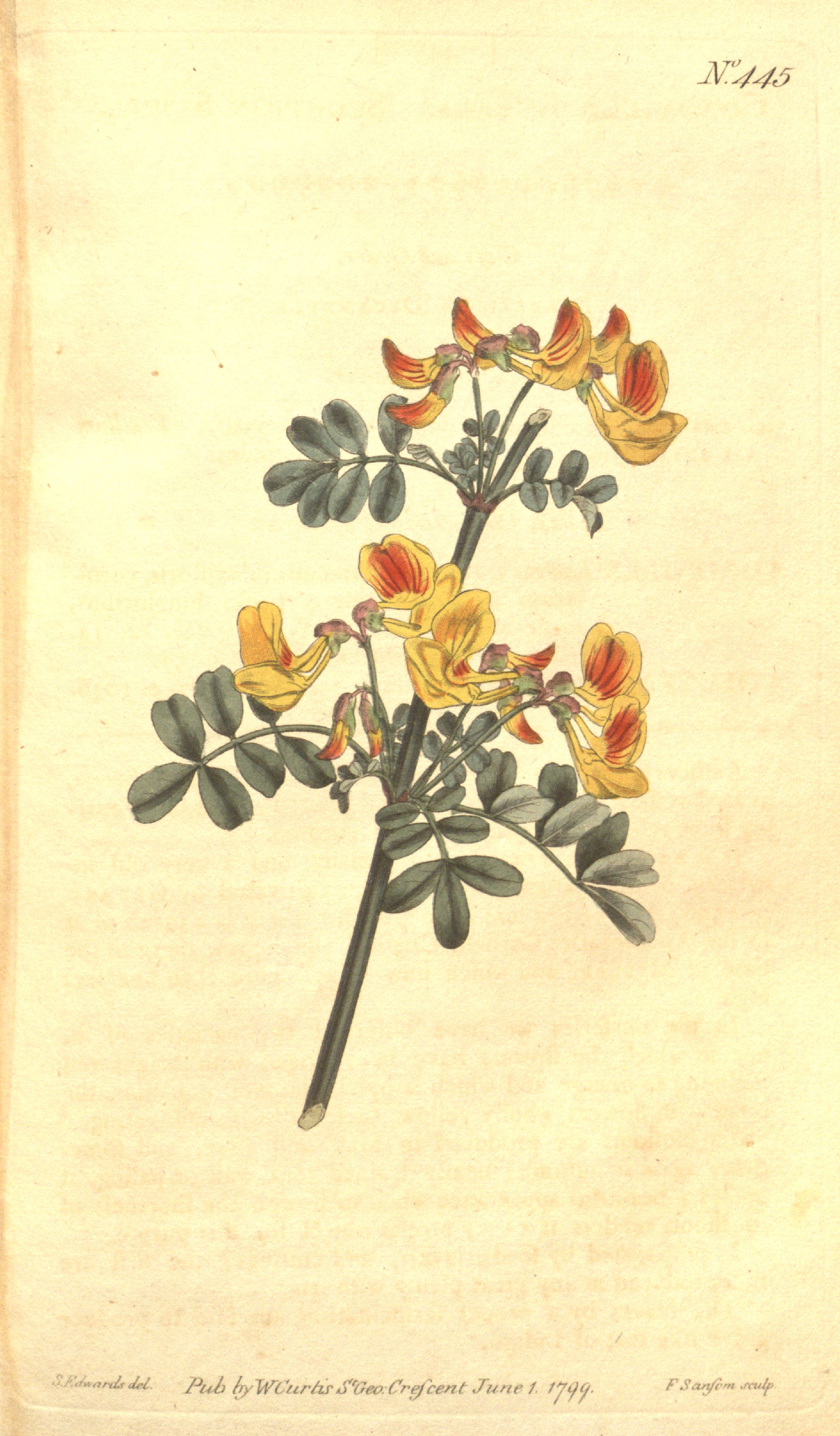 no full size  illustration available (3a)