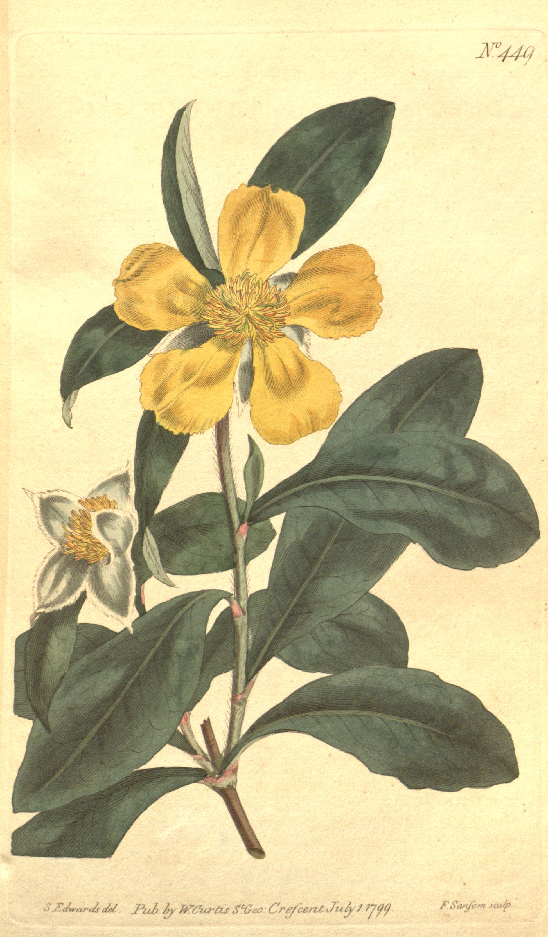 no full size  illustration available (3a)