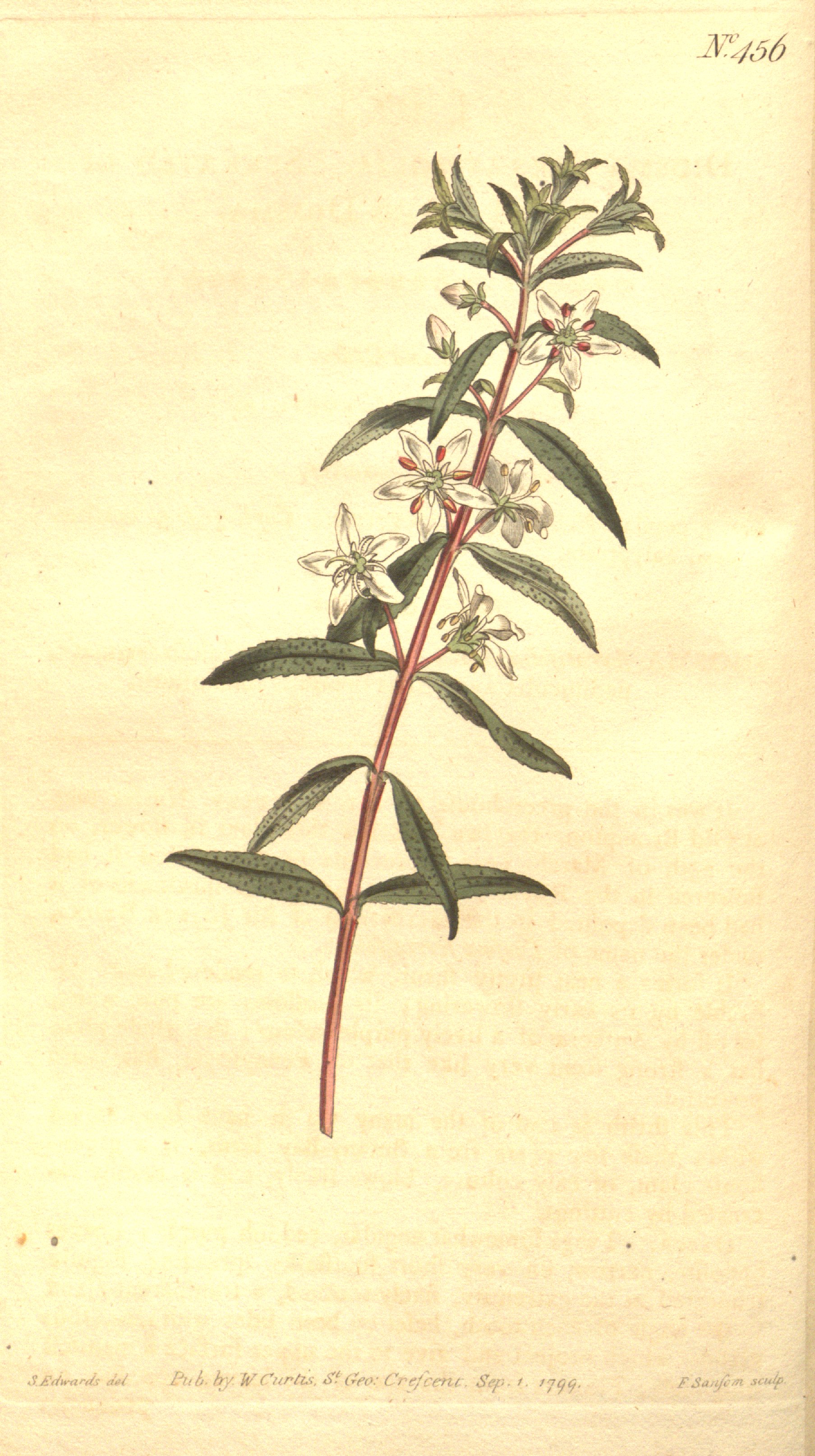 no full size  illustration available (3a)