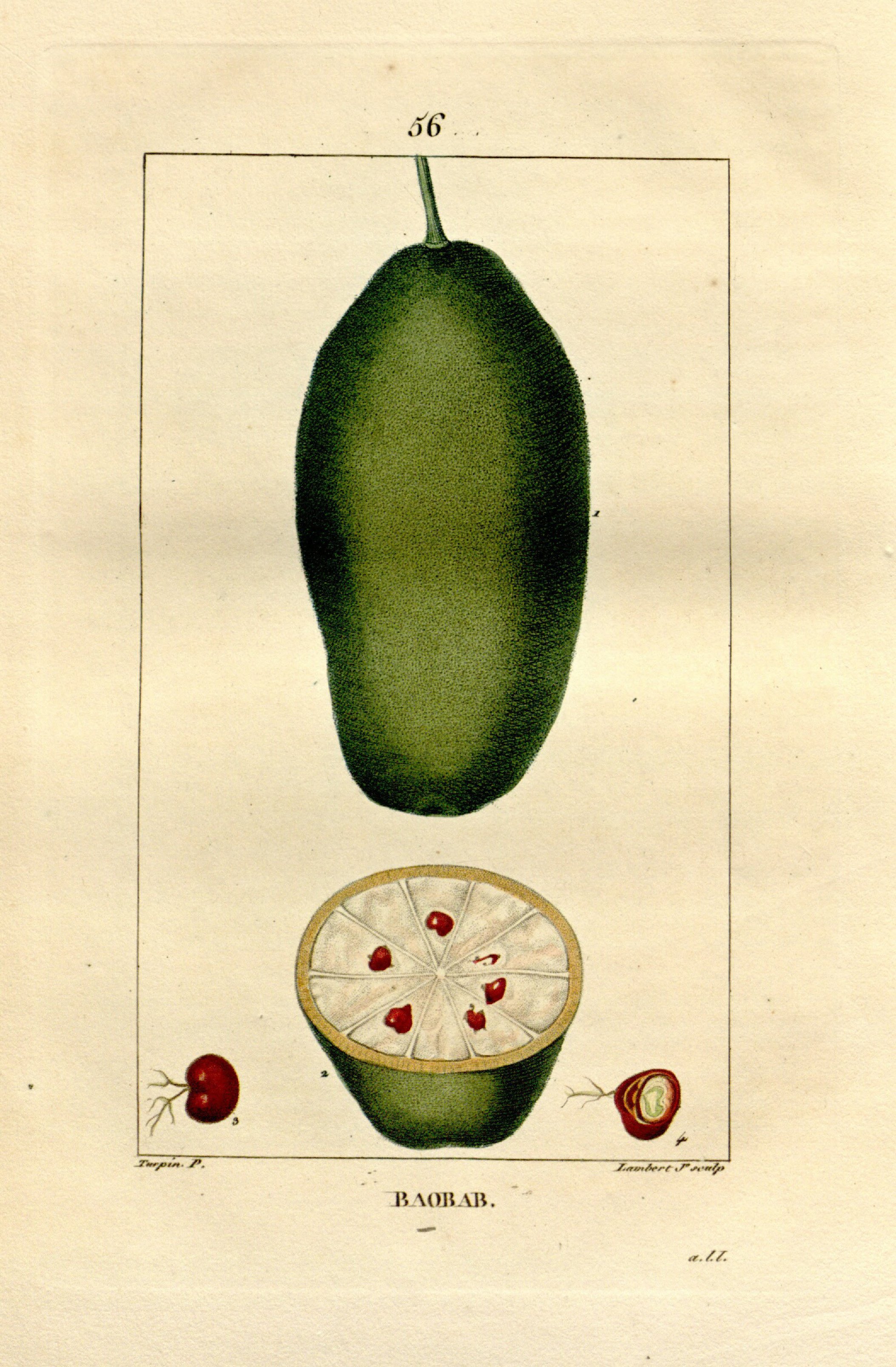 no full size  illustration available (3a)