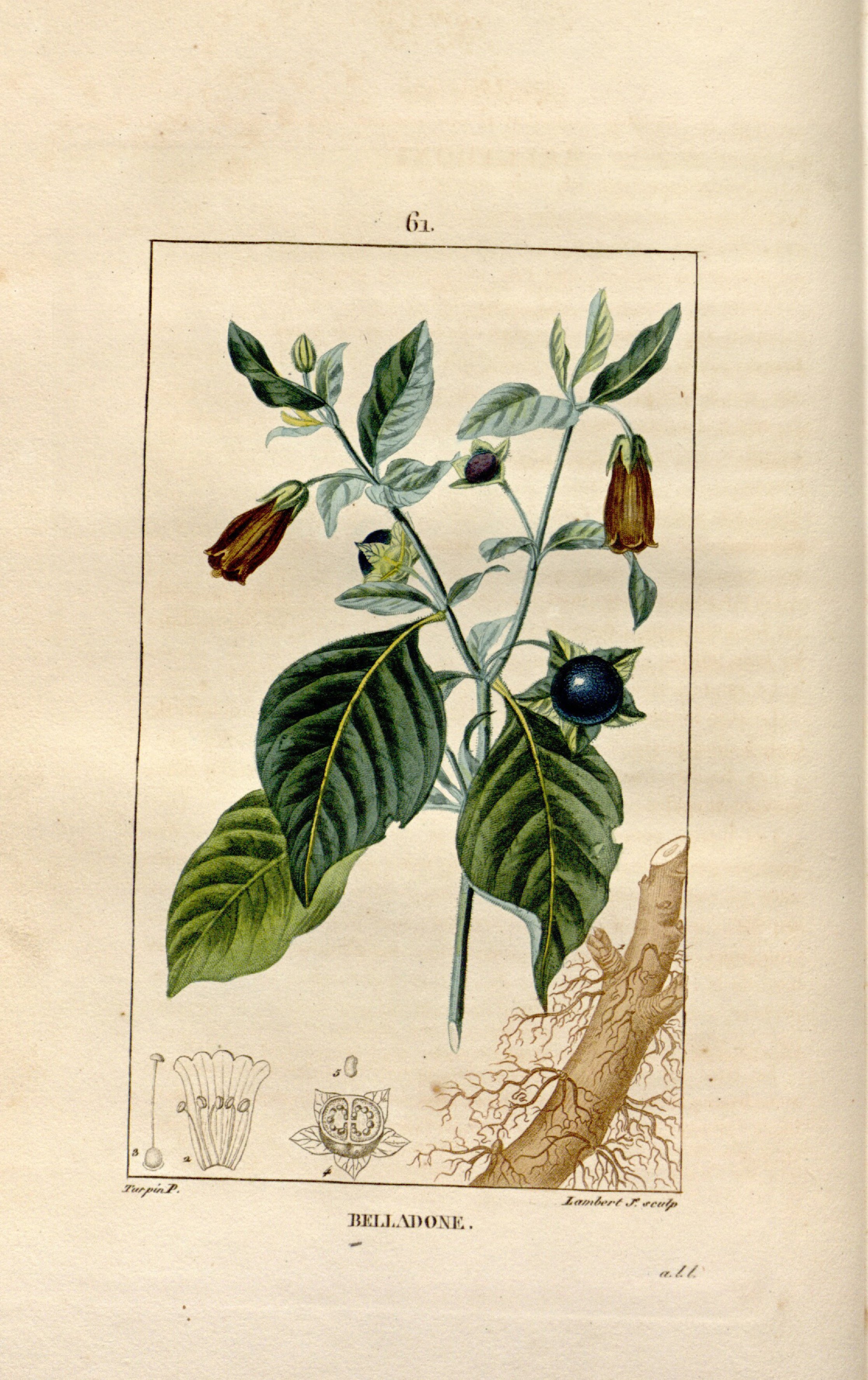 no full size  illustration available (3a)