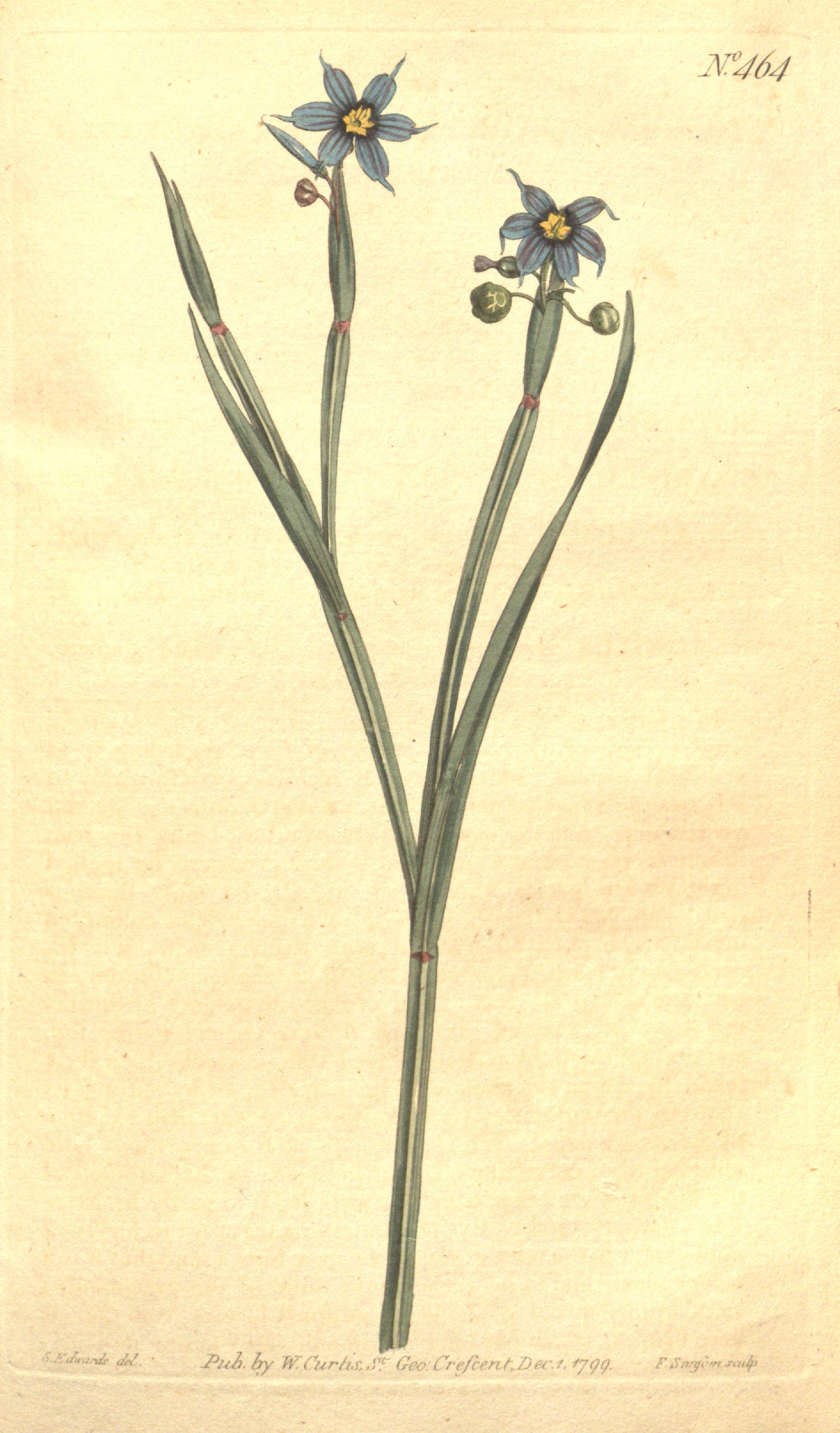 no full size  illustration available (3a)