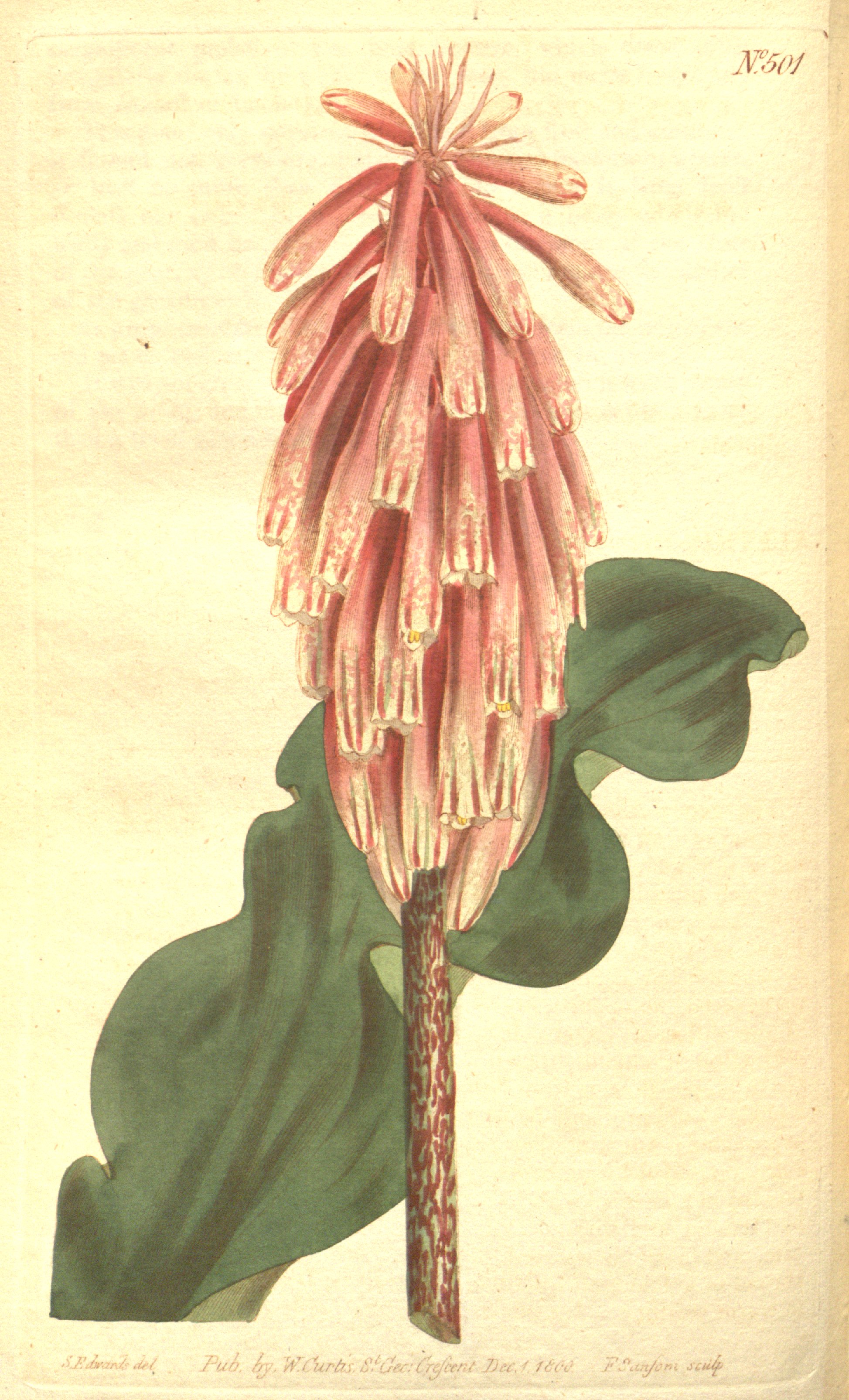 no full size  illustration available (3a)