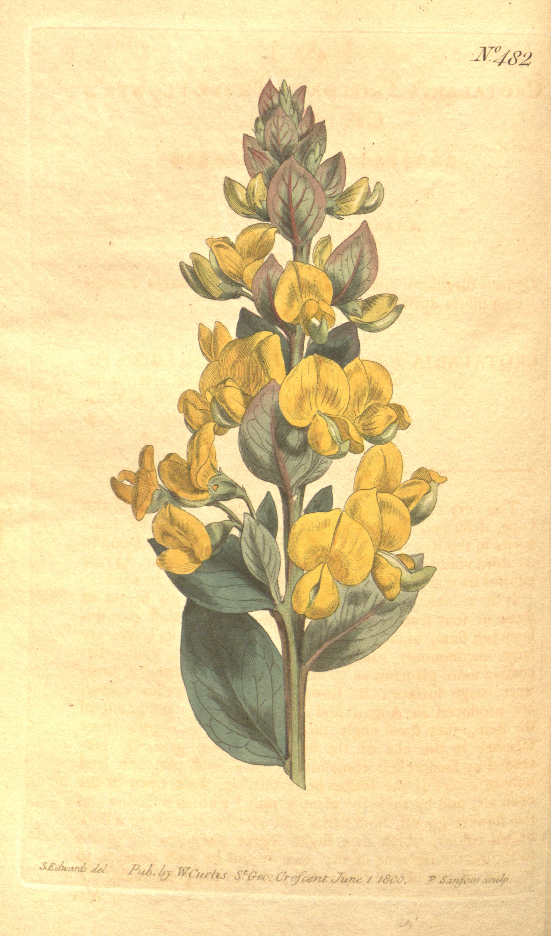 no full size  illustration available (3a)