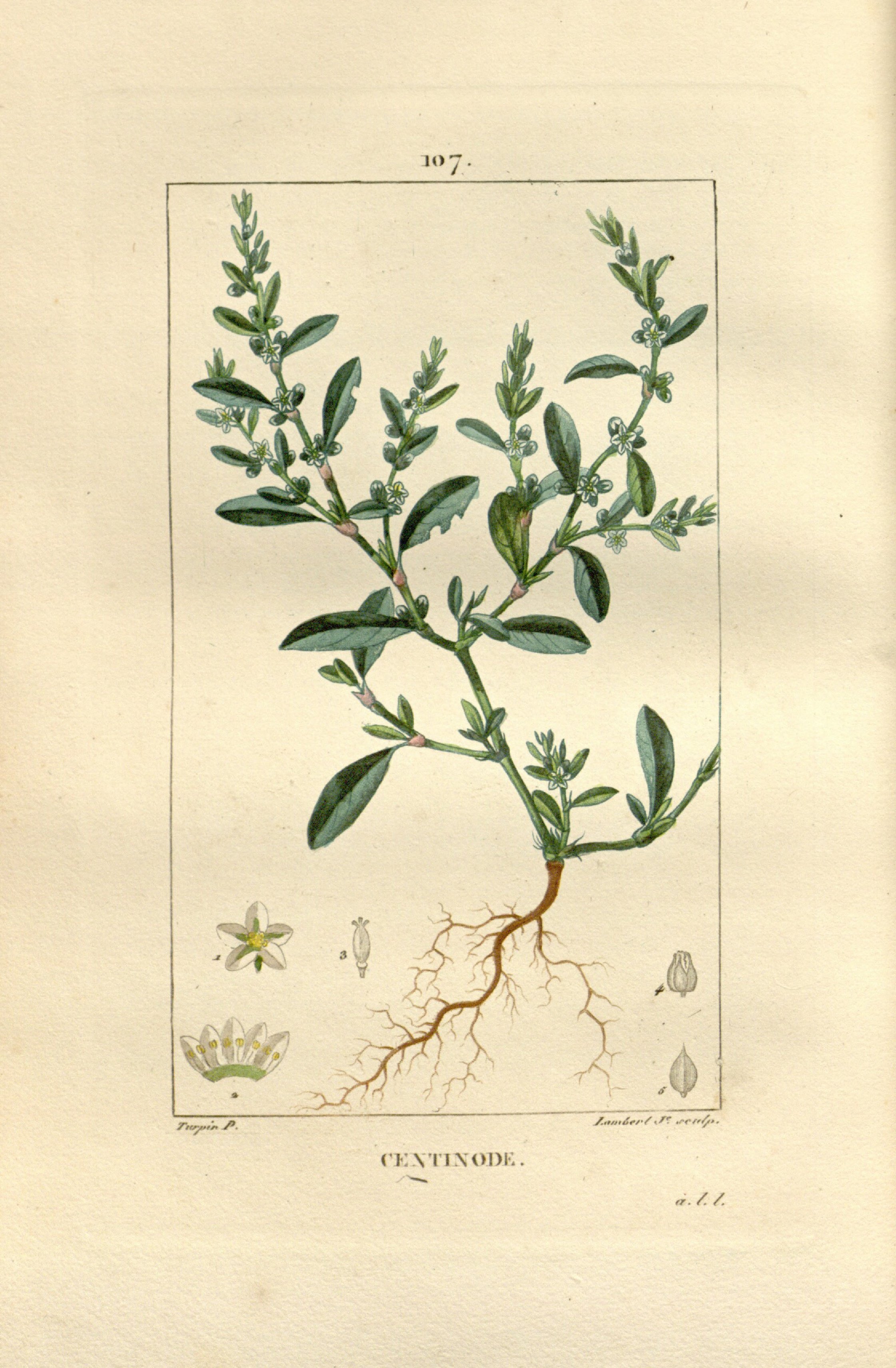 no full size  illustration available (3a)