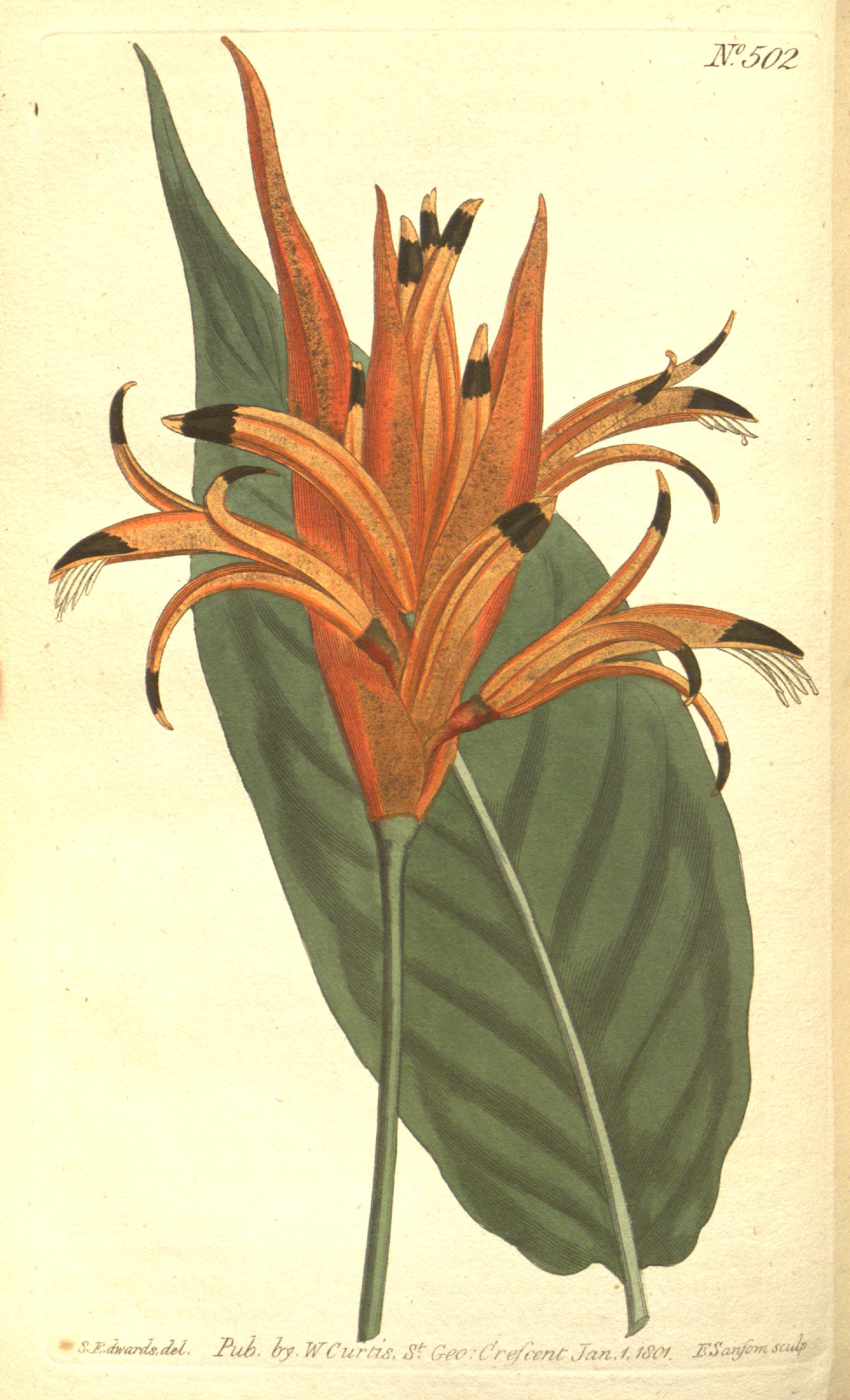 no full size  illustration available (3a)