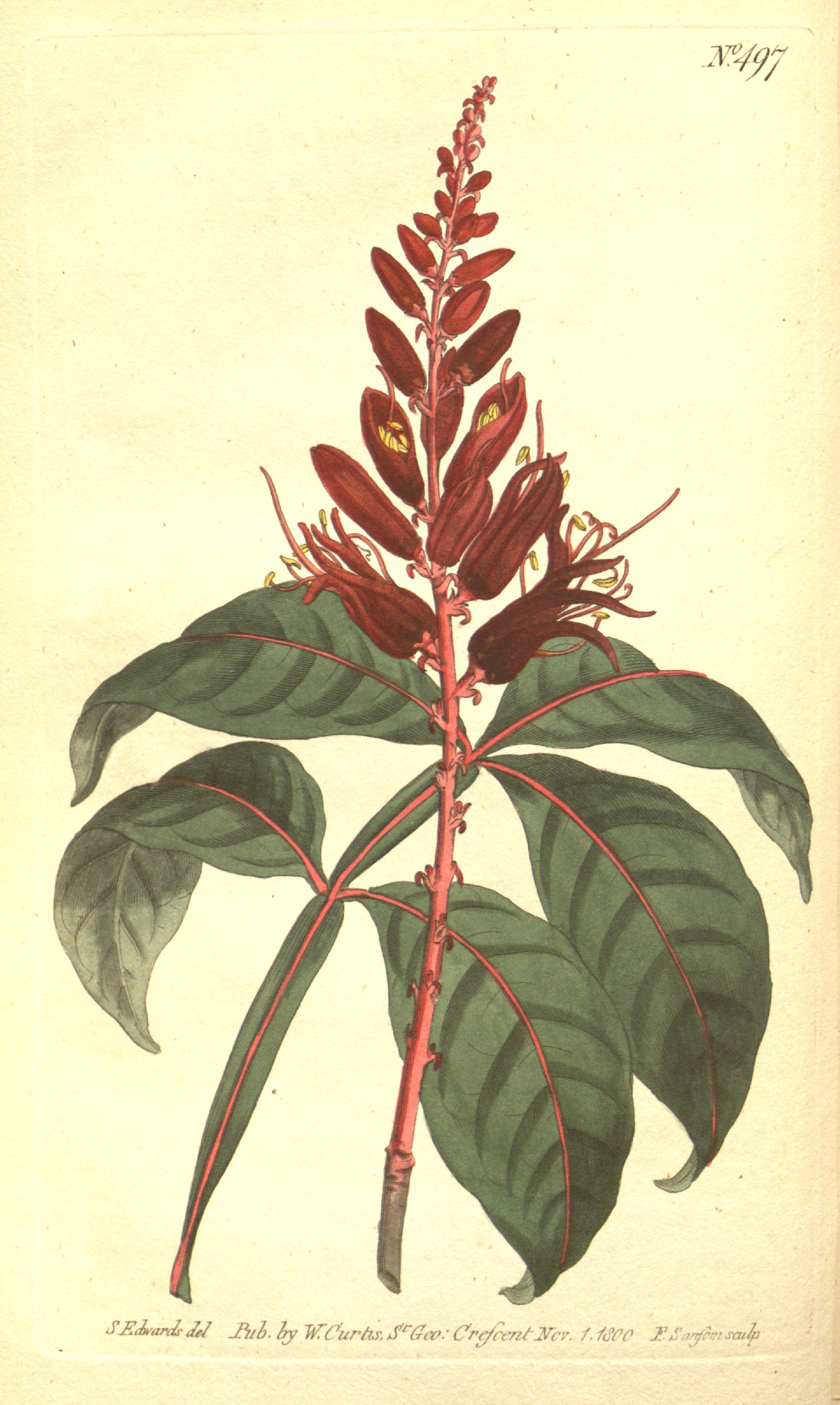 no full size  illustration available (3a)