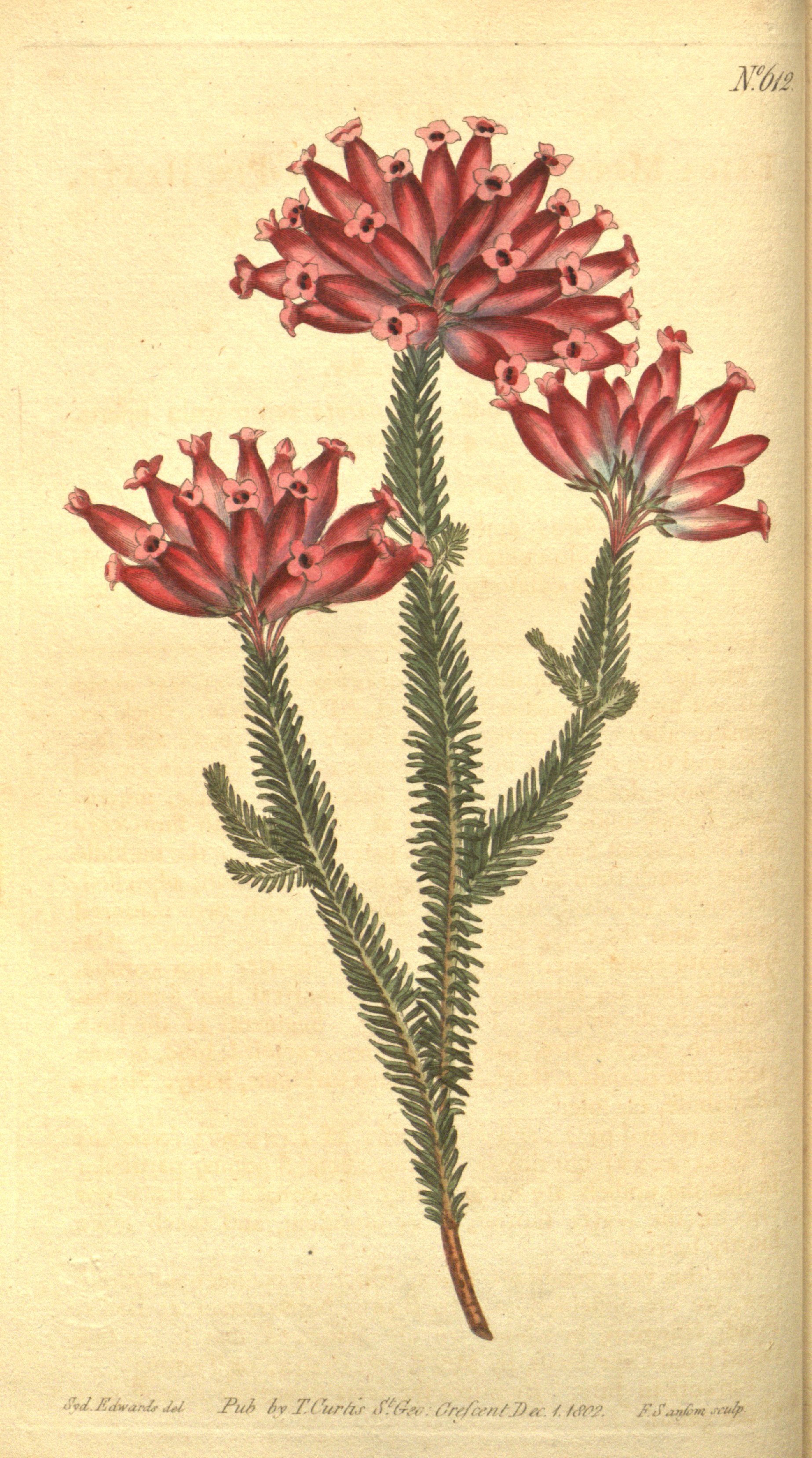 no full size  illustration available (3a)