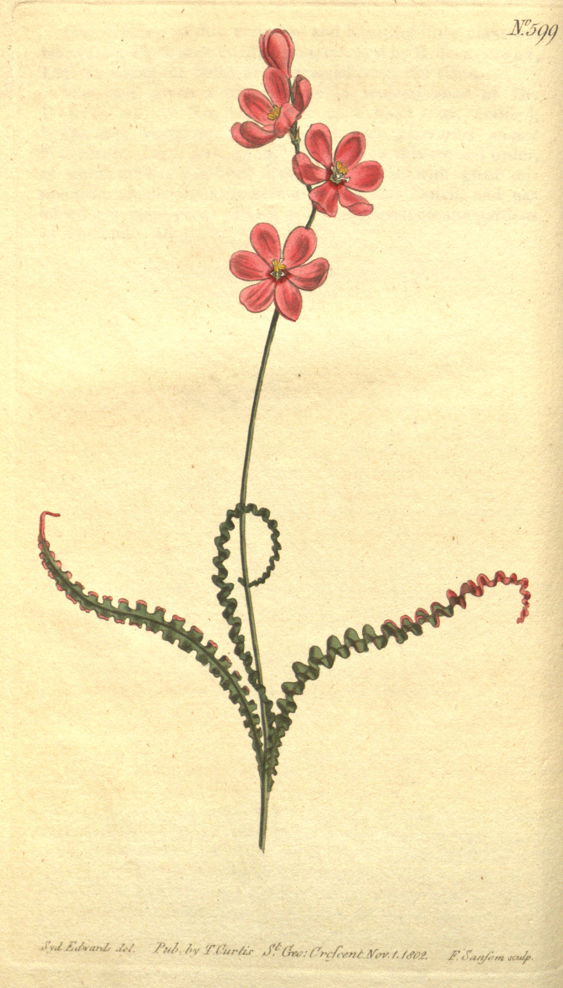 no full size  illustration available (3a)