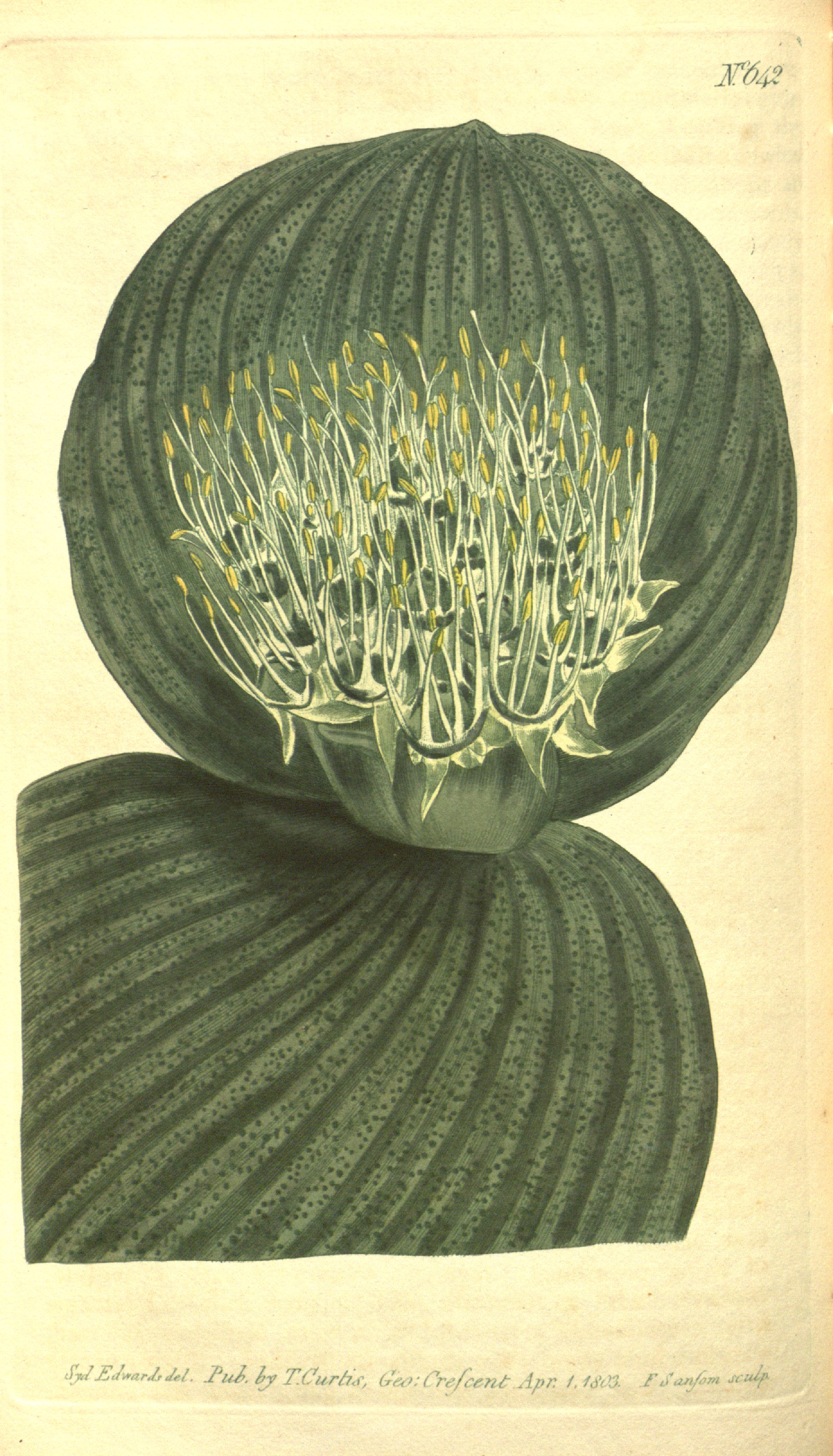 no full size  illustration available (3a)