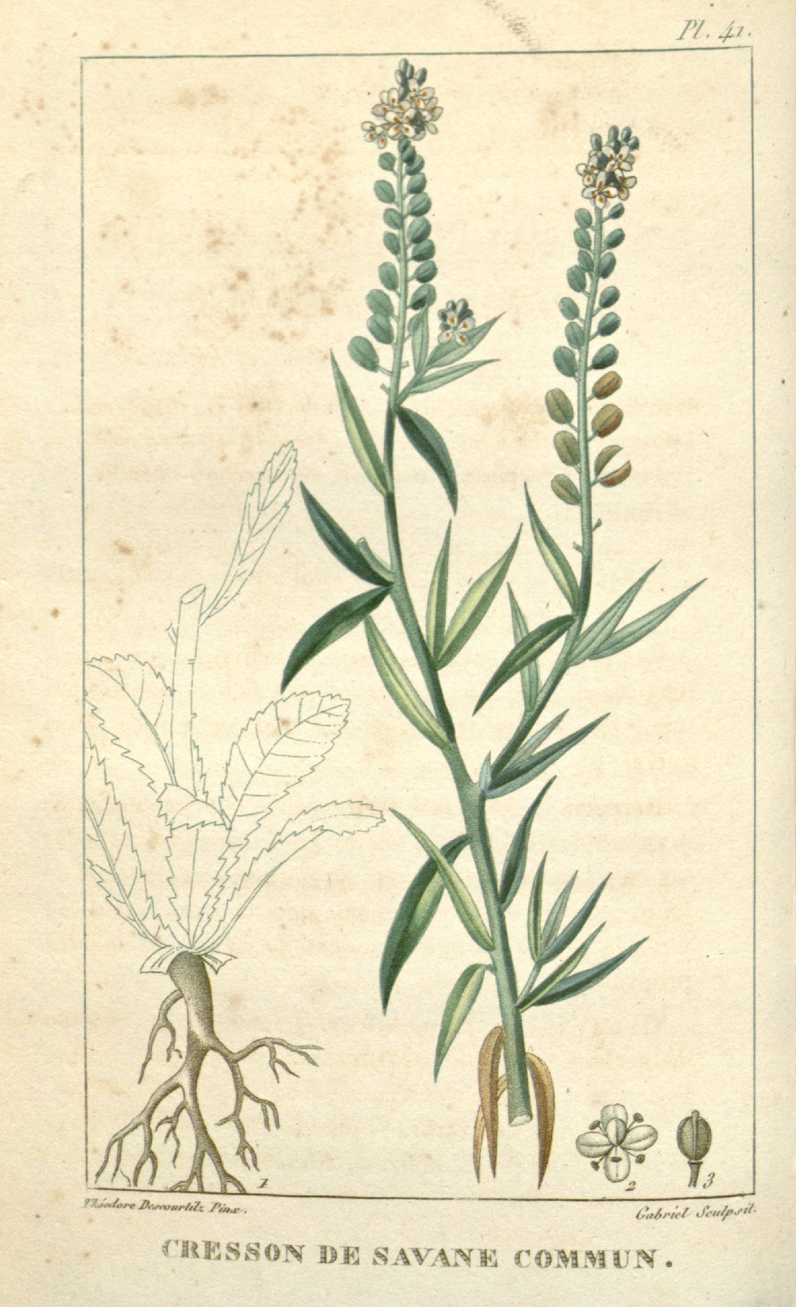 no full size  illustration available (3a)