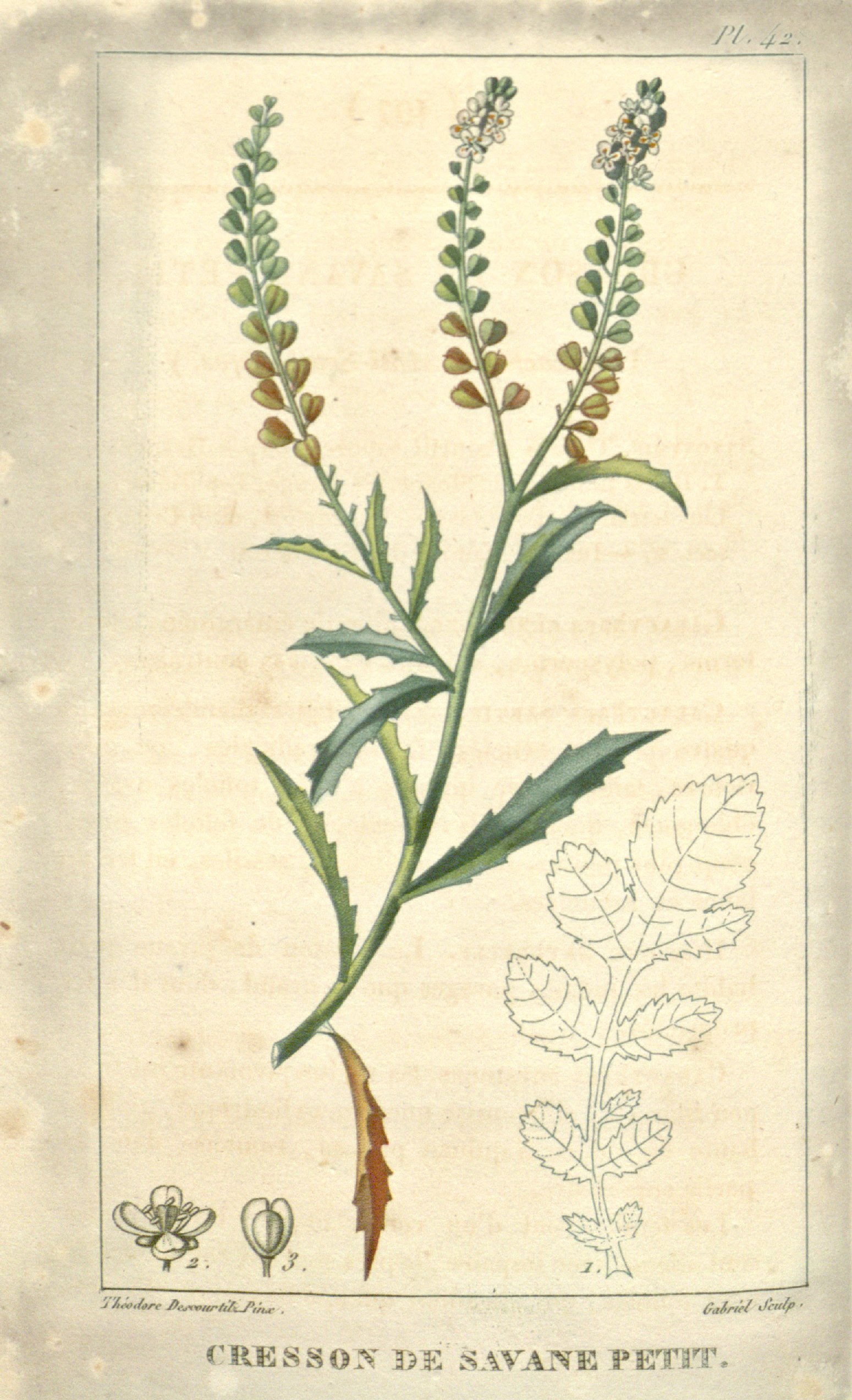 no full size  illustration available (3a)