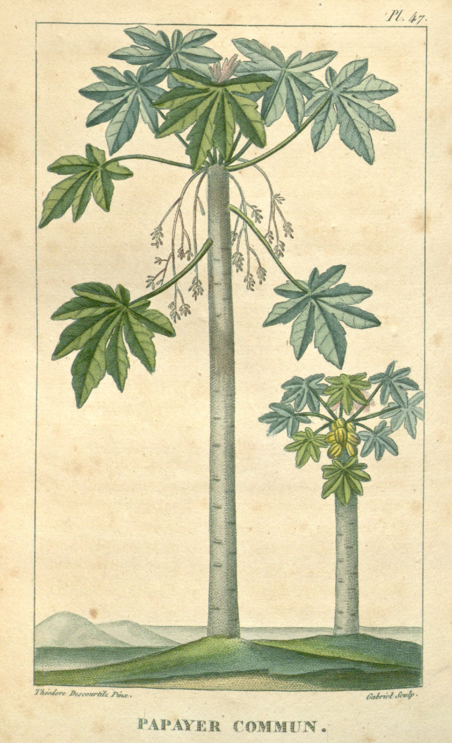 no full size  illustration available (3a)