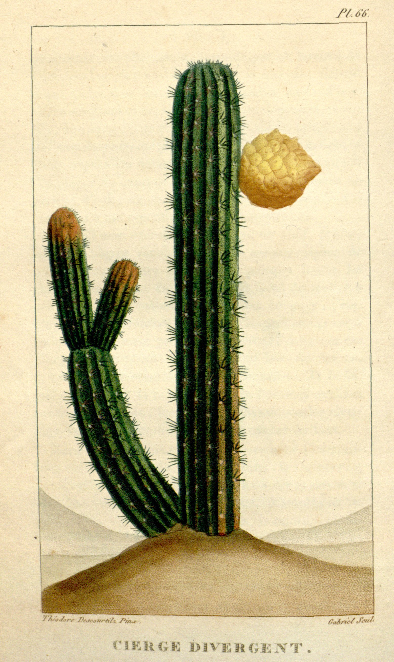 no full size  illustration available (3a)