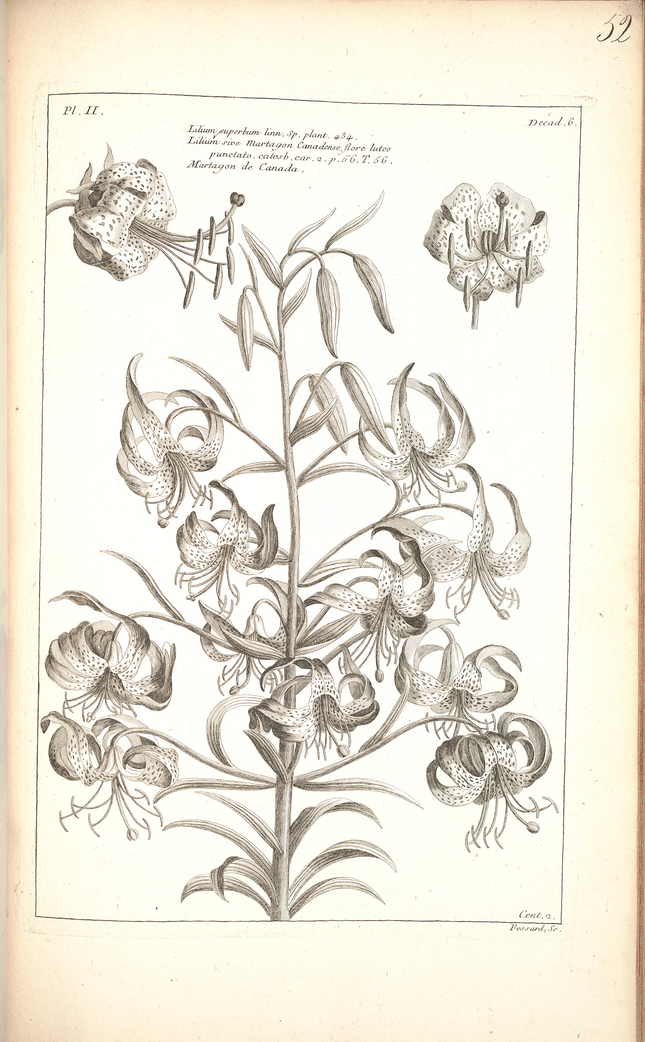 no full size  illustration available (3a)