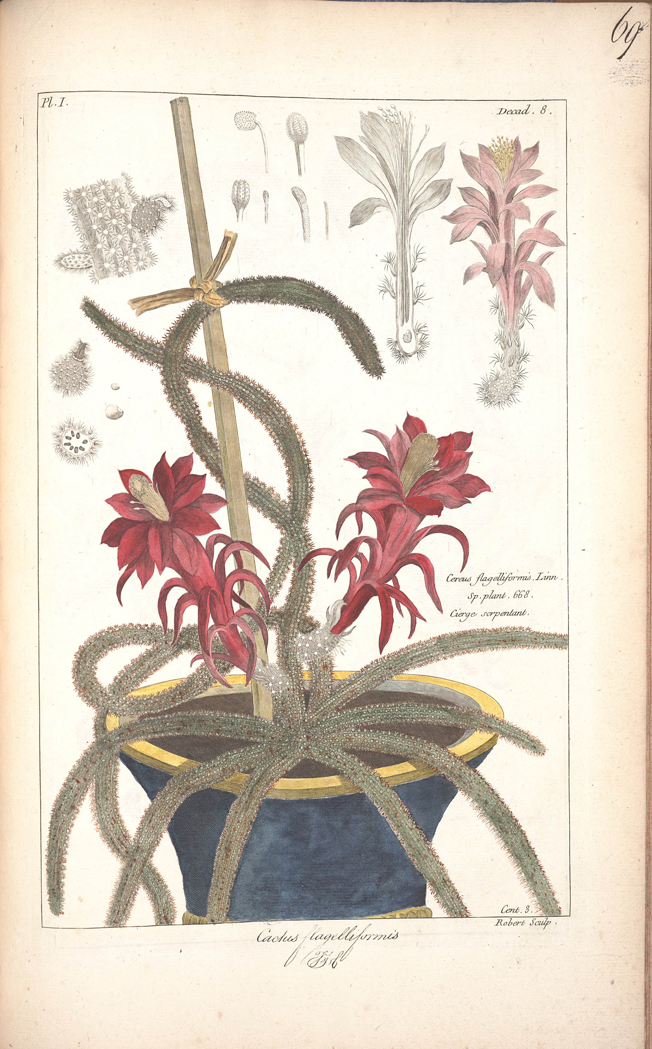 no full size  illustration available (3a)