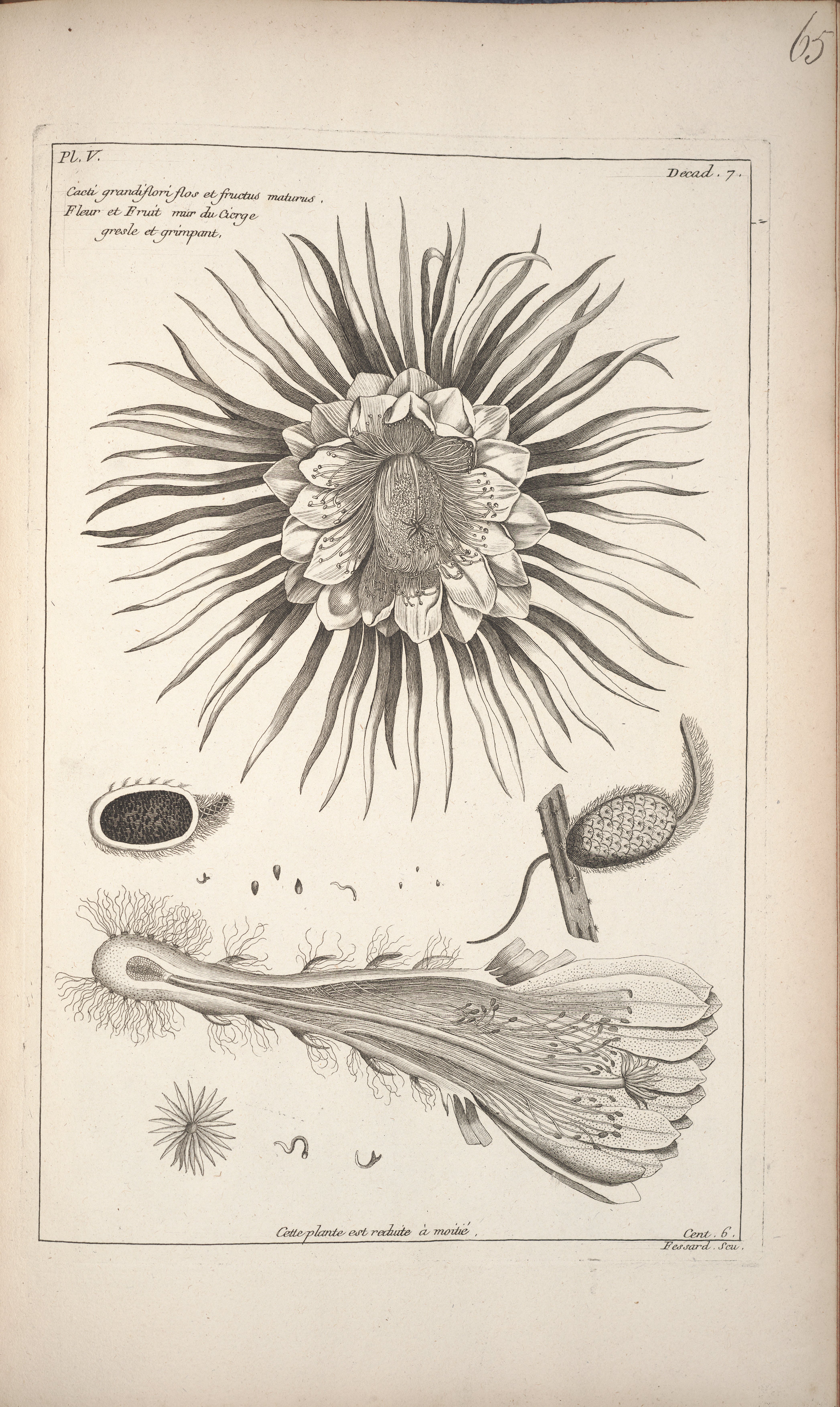 no full size  illustration available (3a)