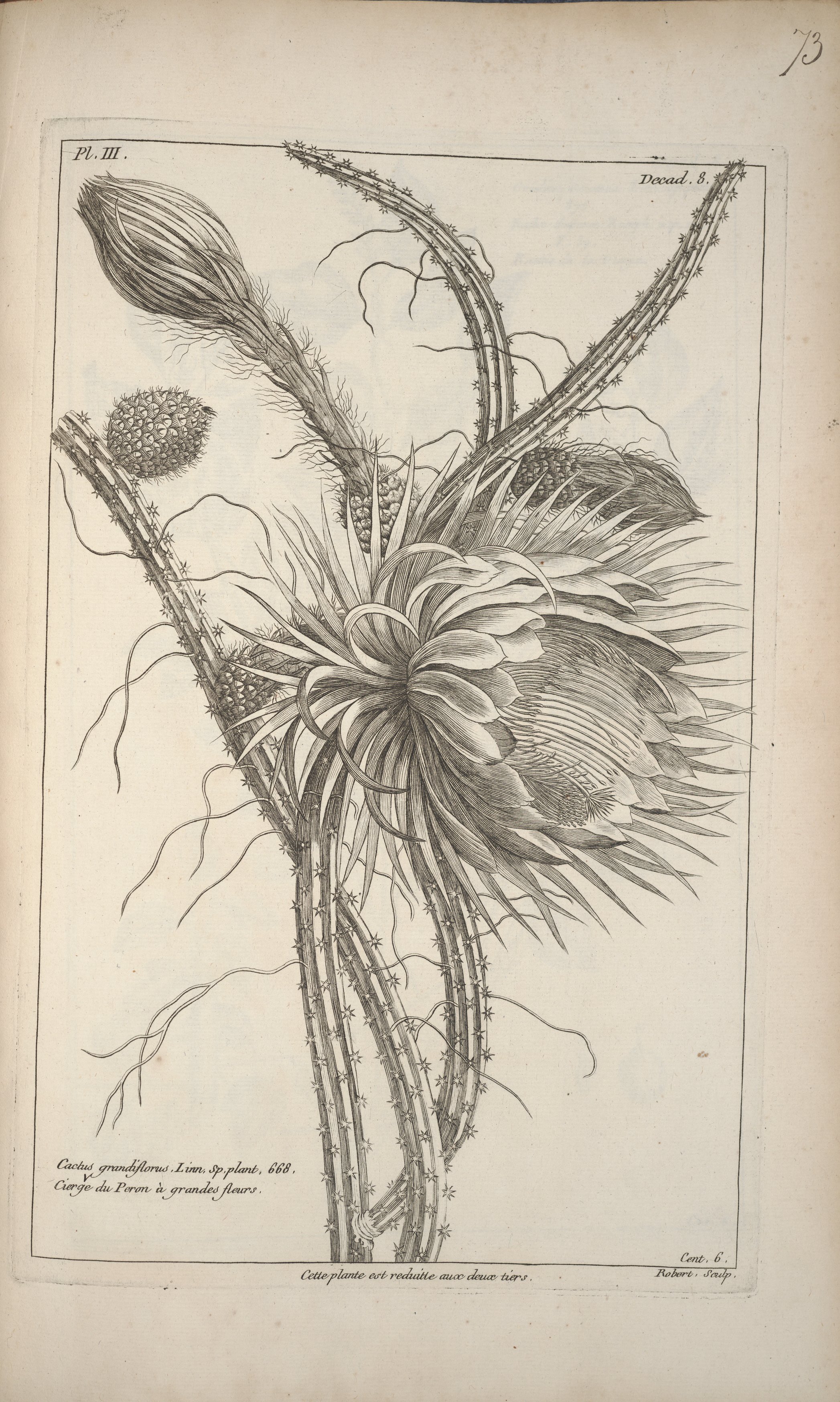 no full size  illustration available (3a)