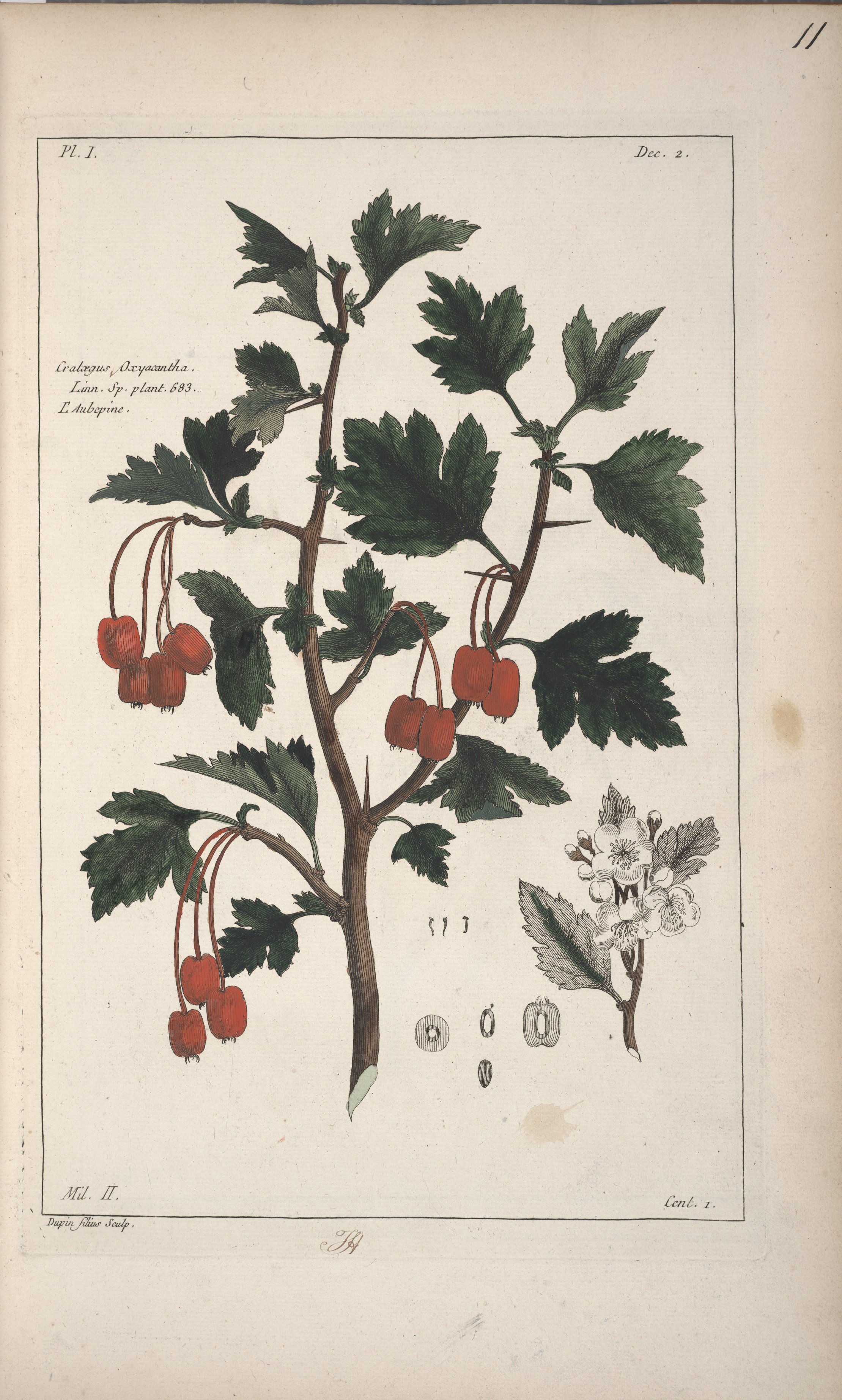 no full size  illustration available (3a)