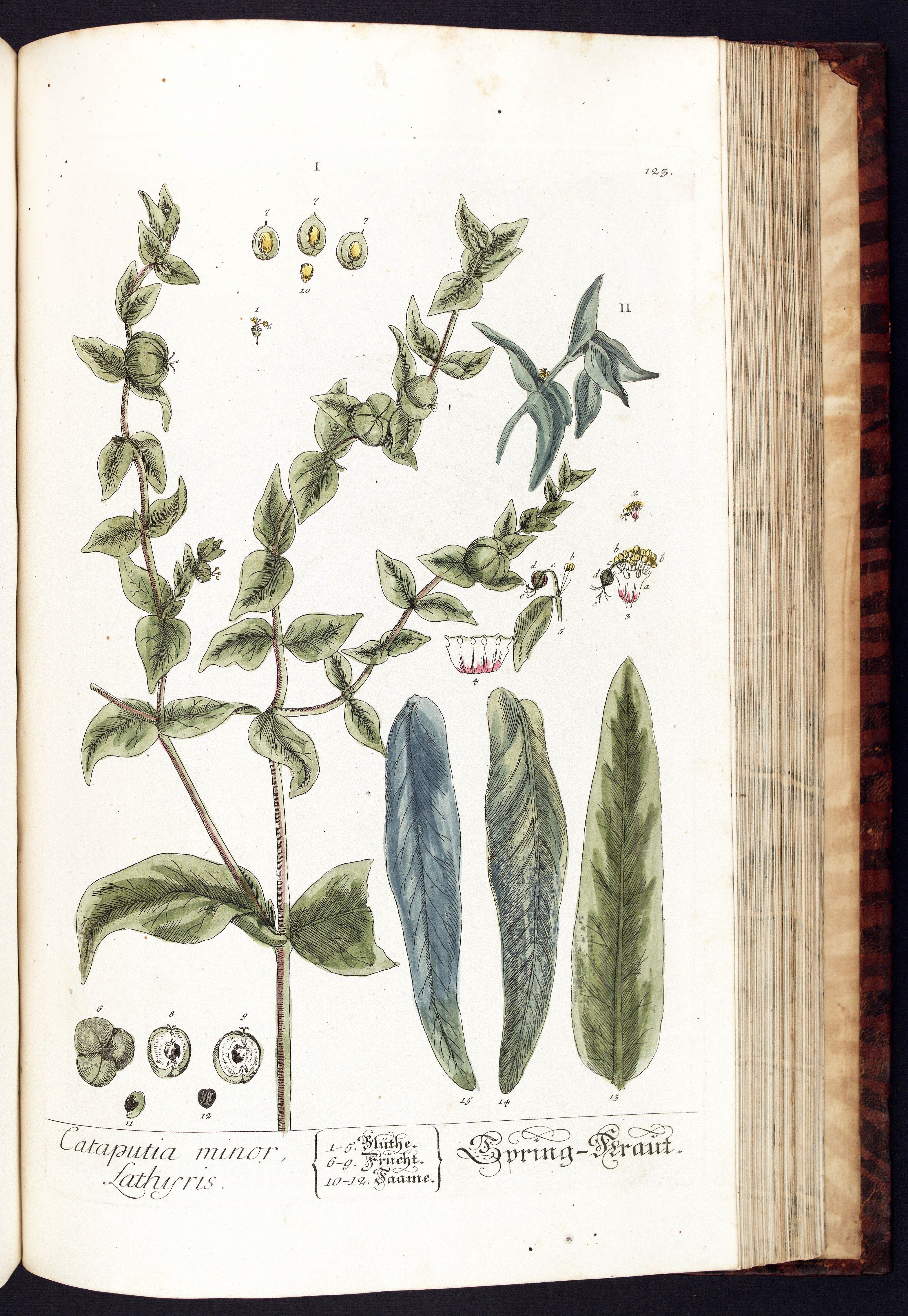 no full size  illustration available (3a)