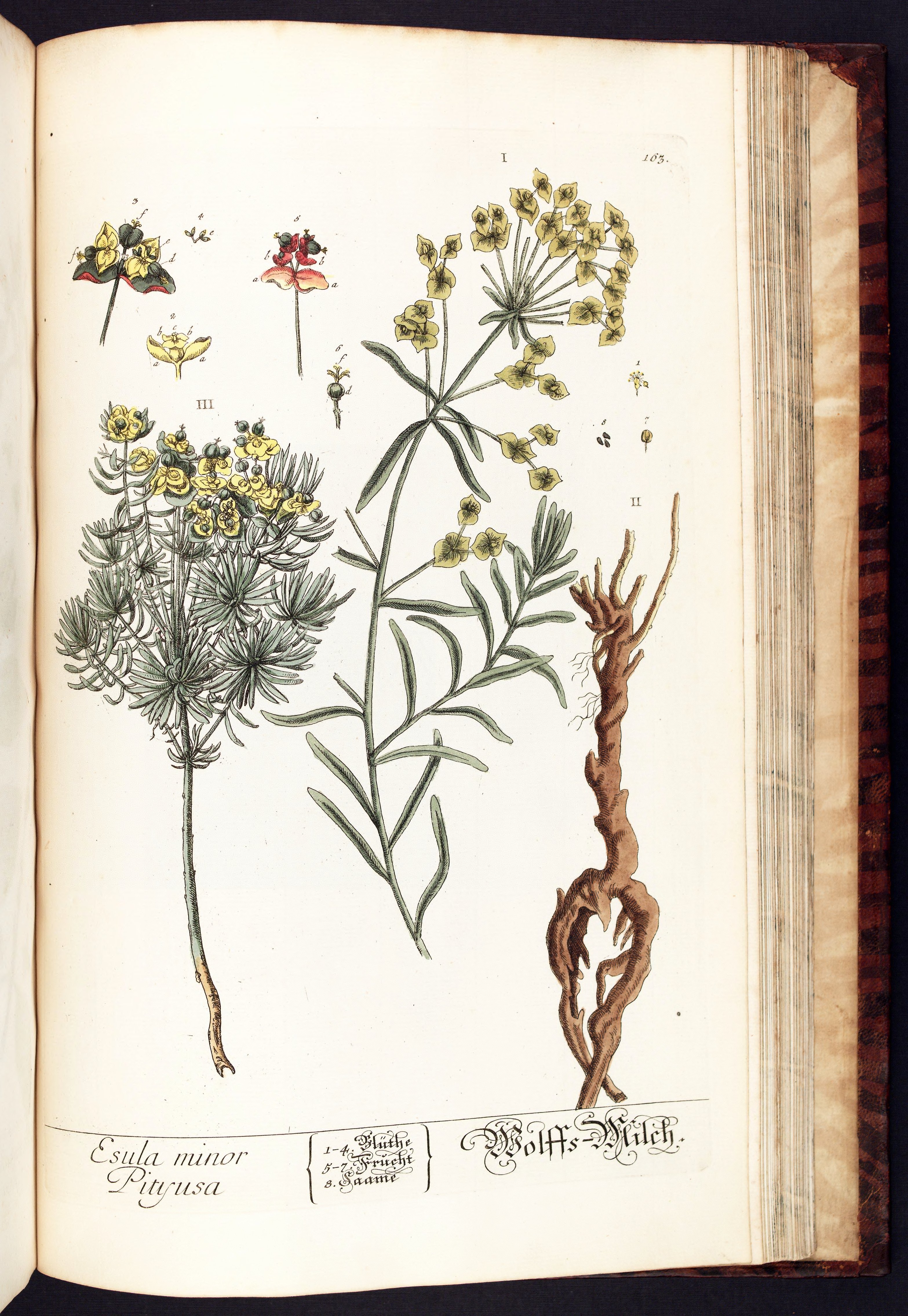 no full size  illustration available (3a)