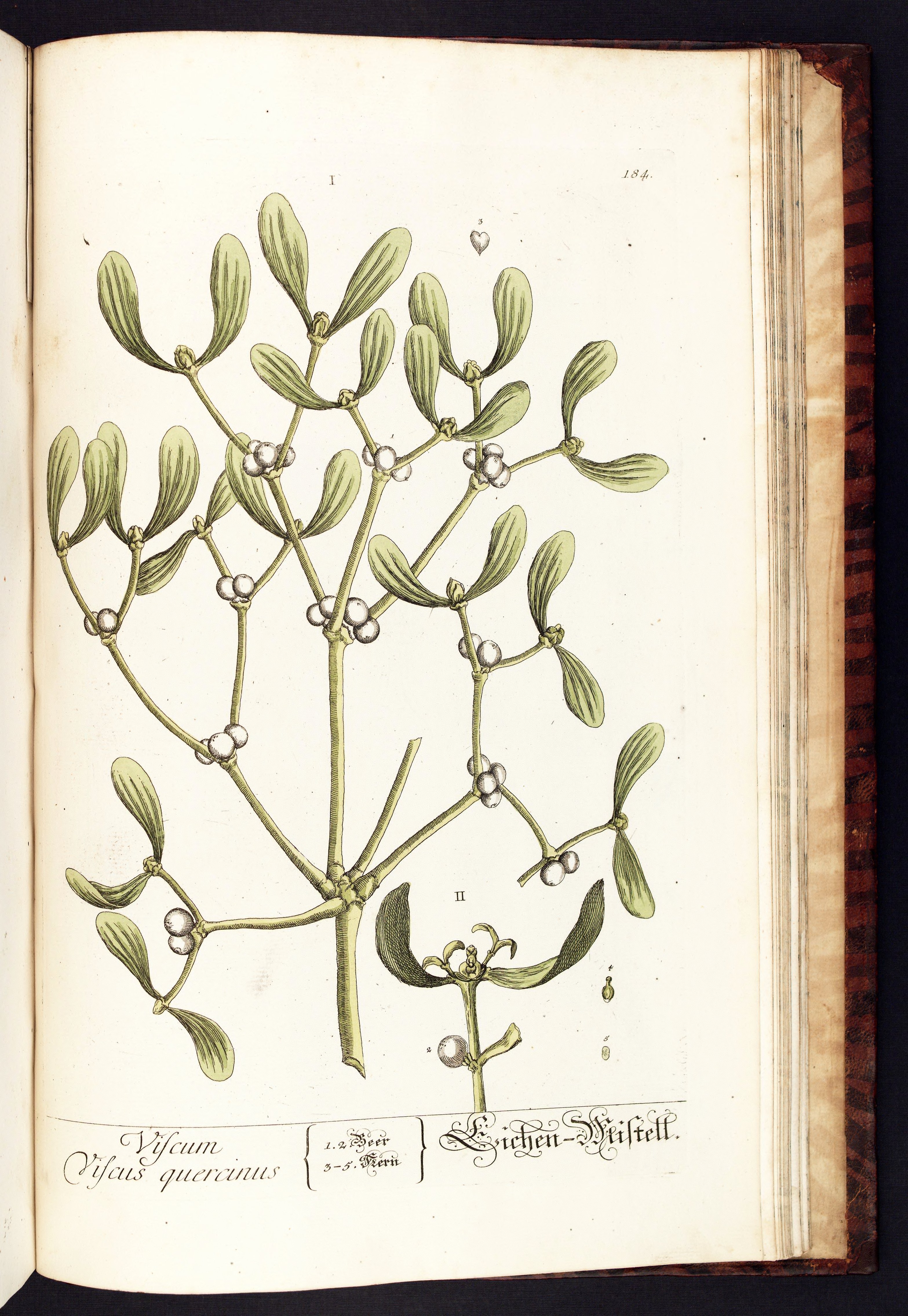 no full size  illustration available (3a)