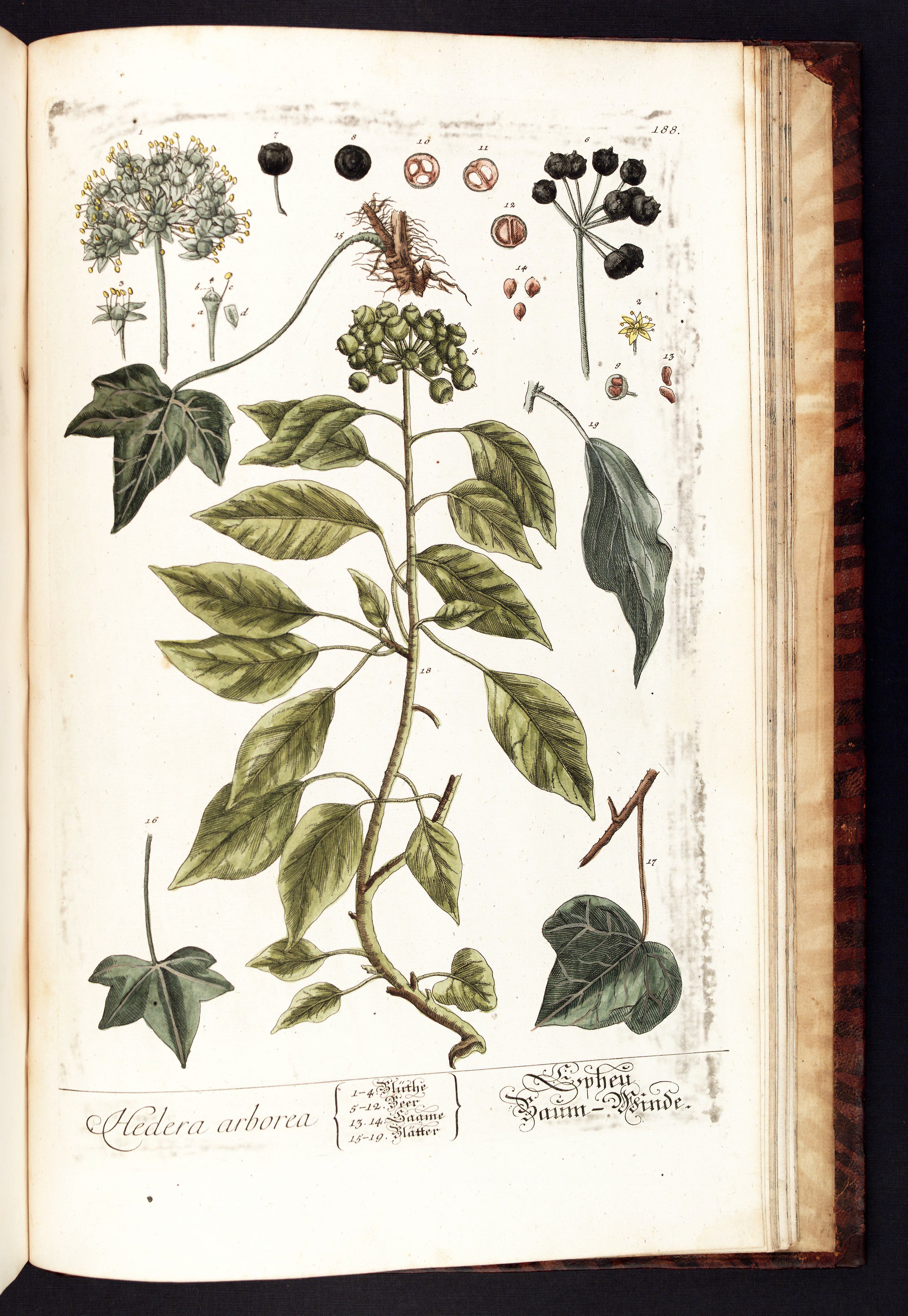 no full size  illustration available (3a)