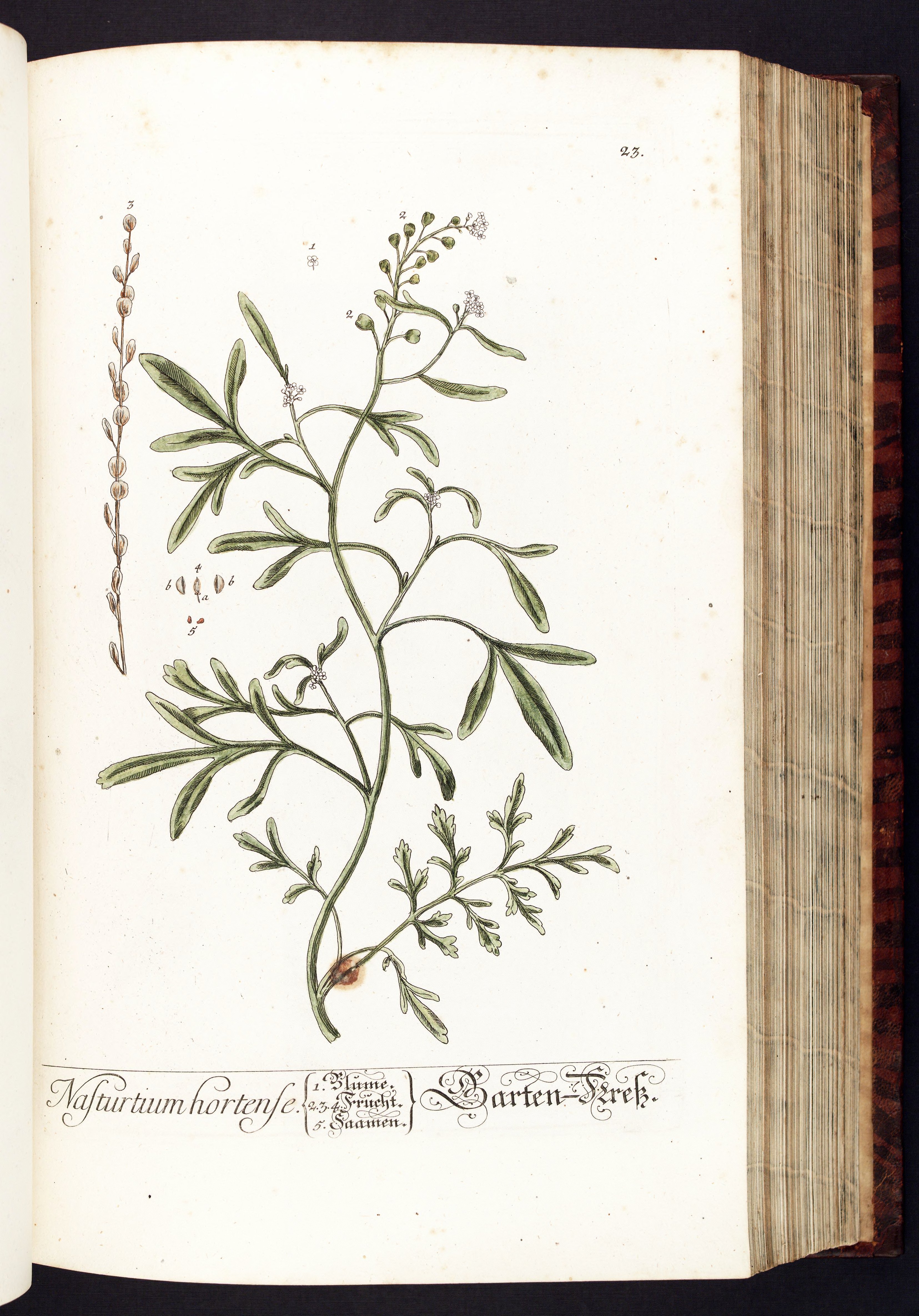 no full size  illustration available (3a)