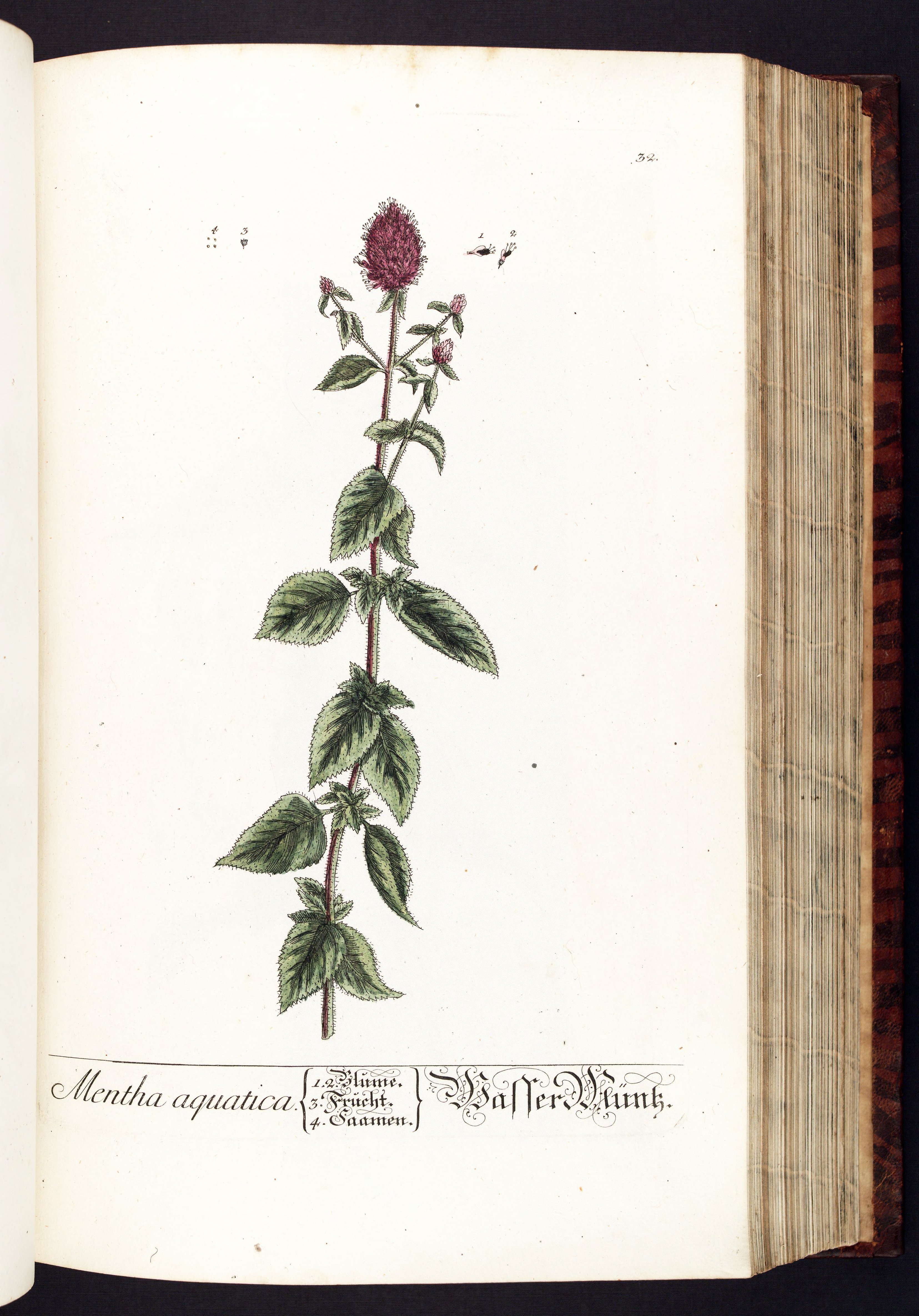 no full size  illustration available (3a)