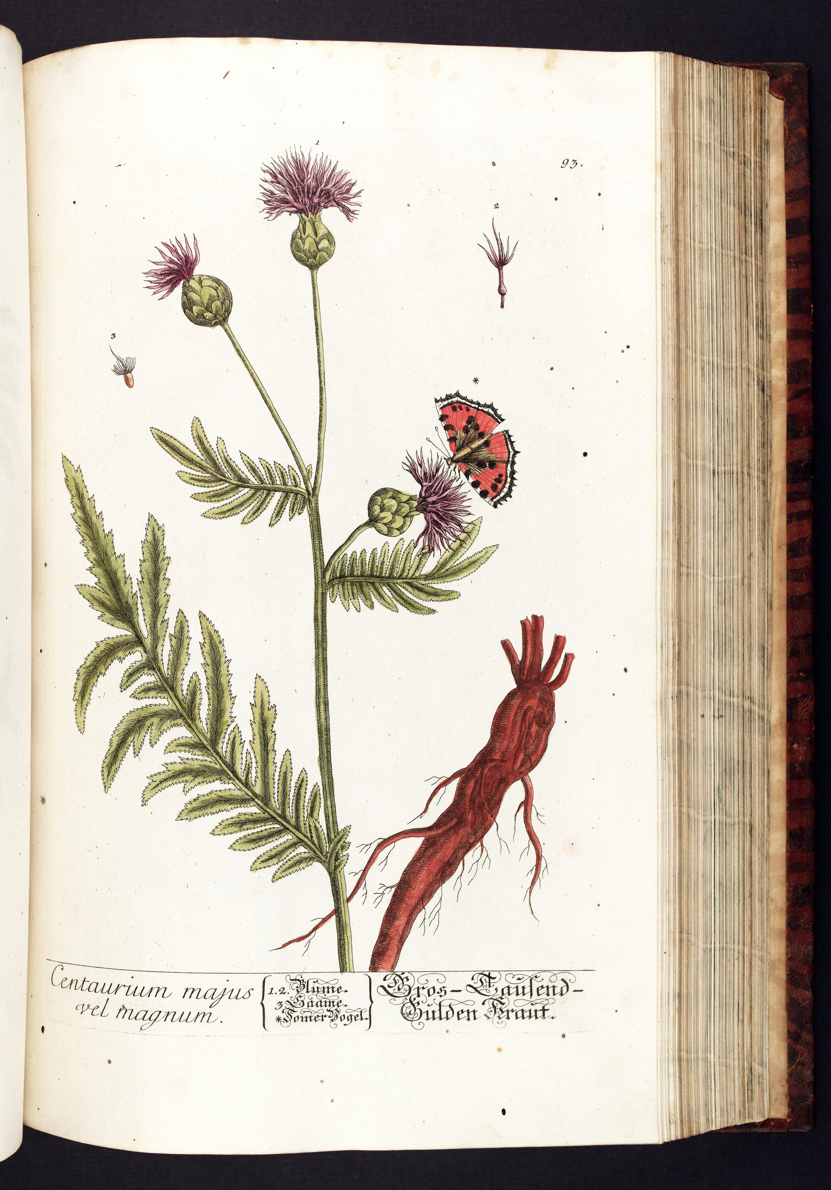 no full size  illustration available (3a)