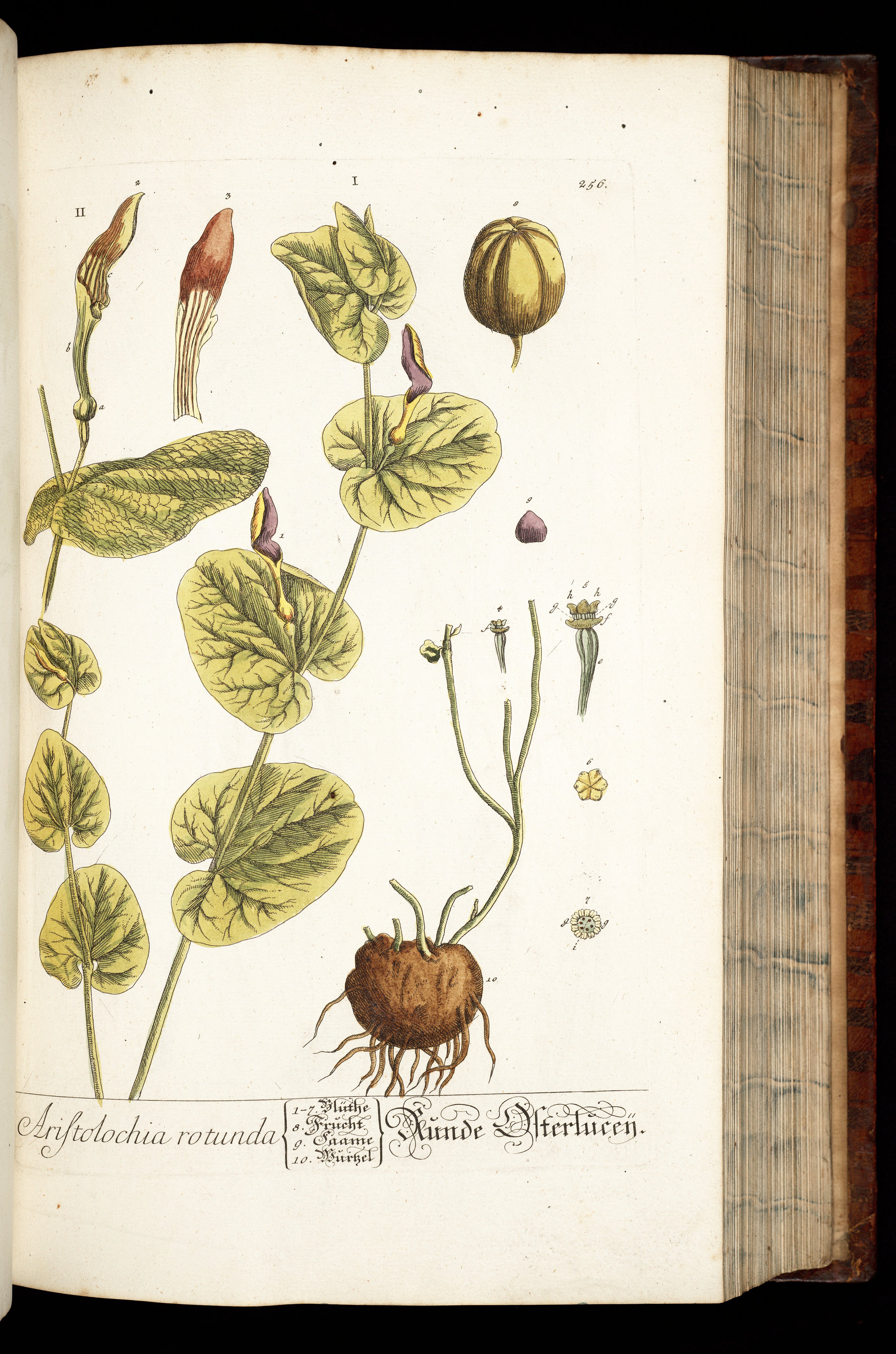 no full size  illustration available (3a)