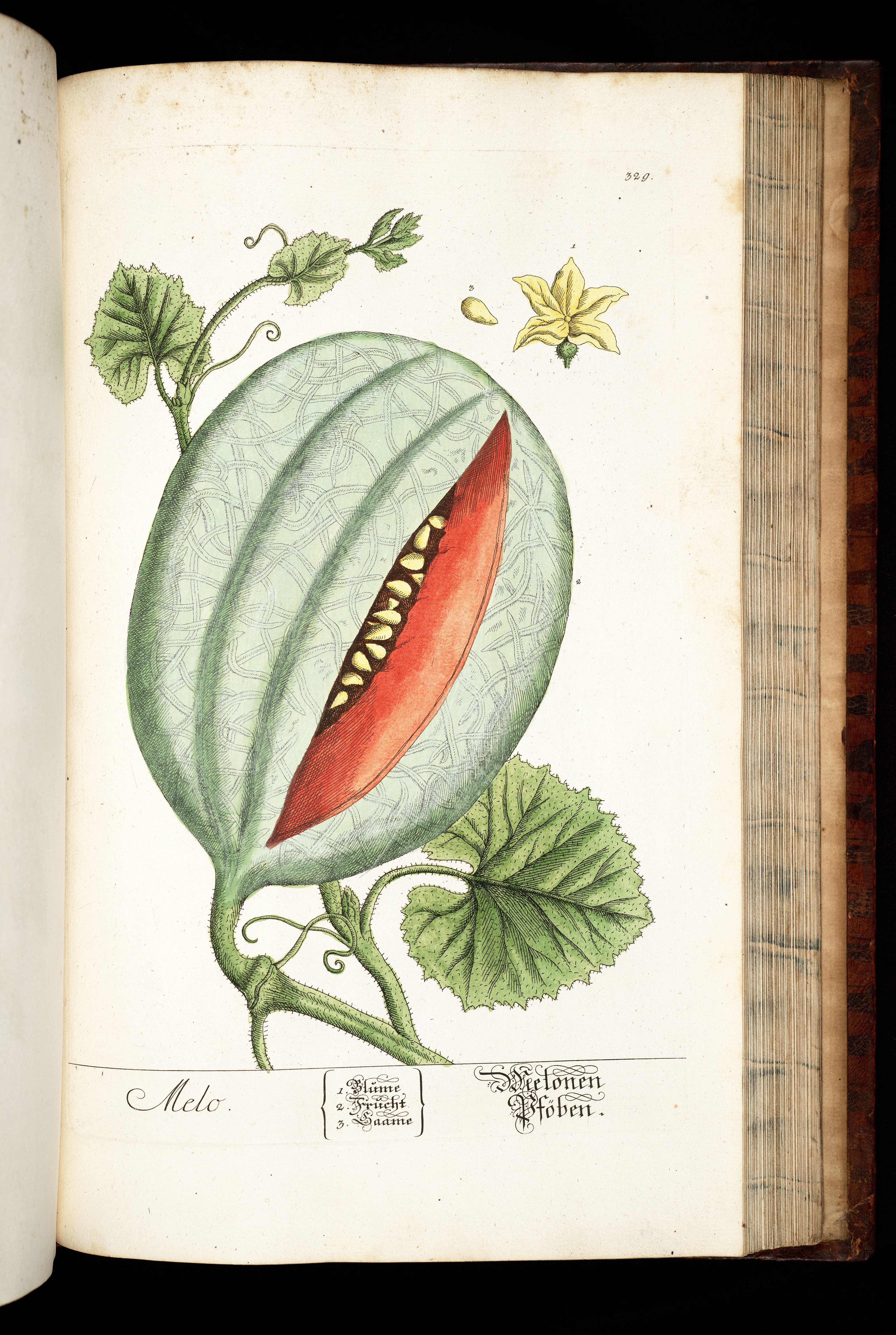 no full size  illustration available (3a)