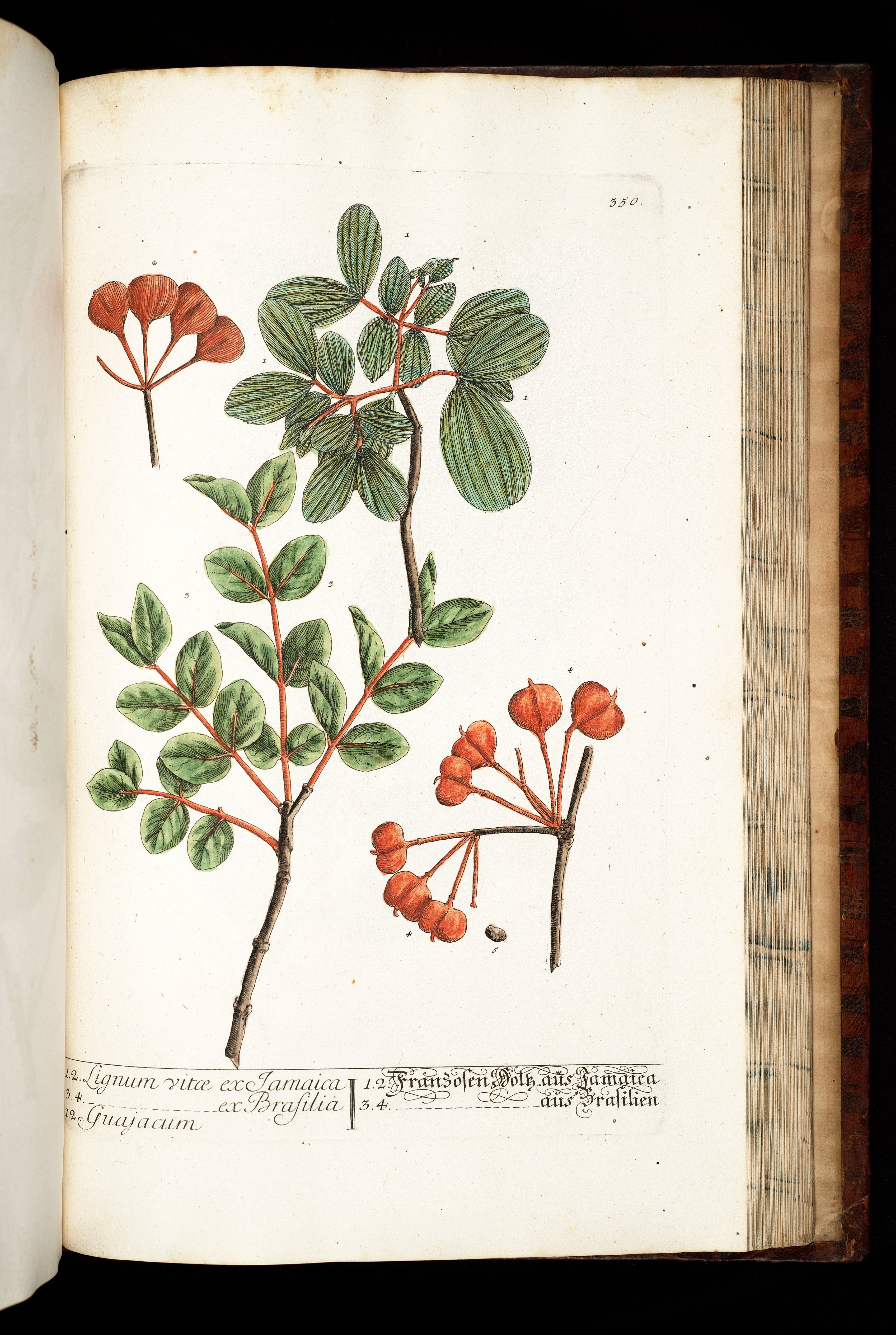 no full size  illustration available (3a)