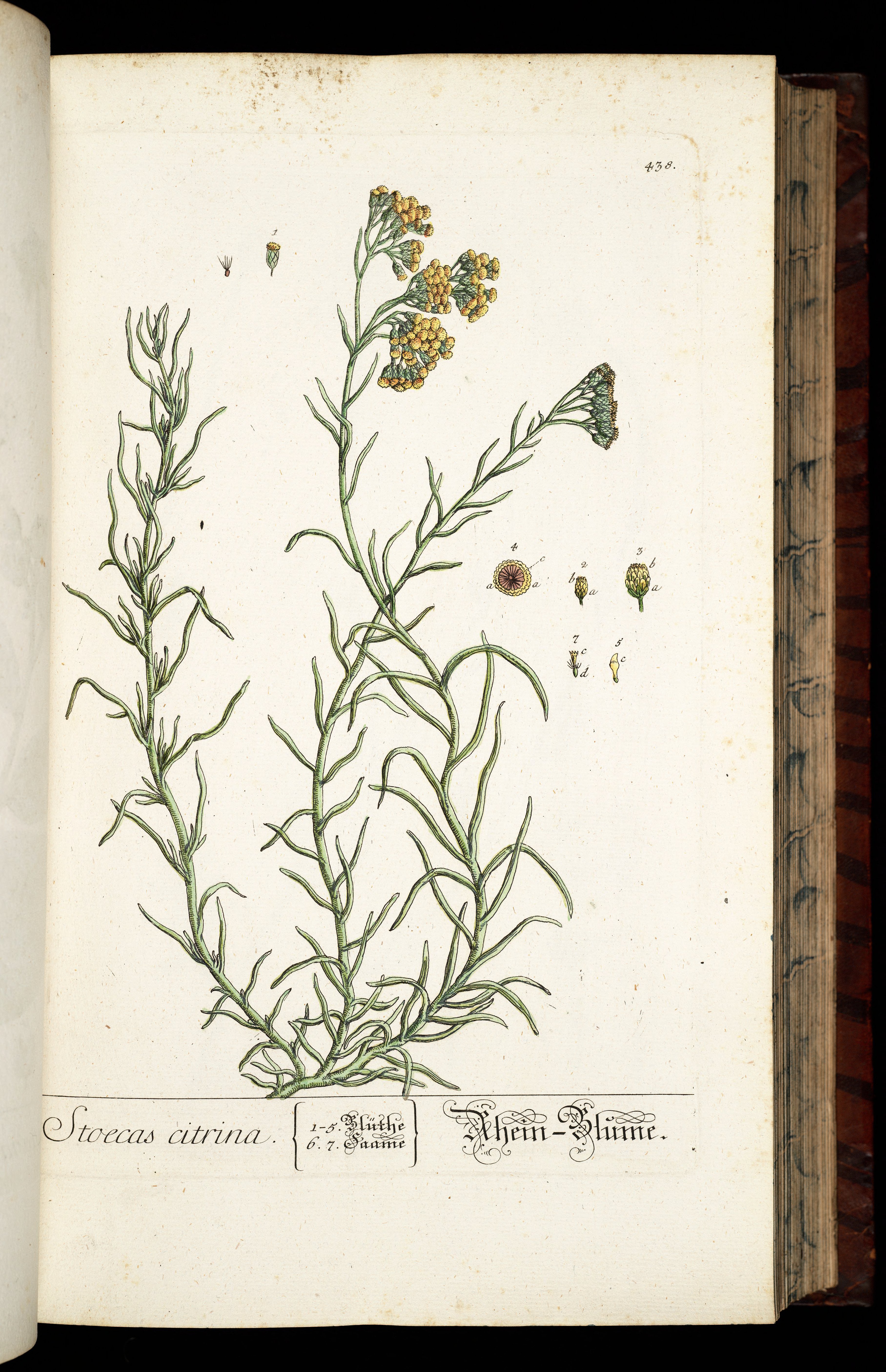 no full size  illustration available (3a)