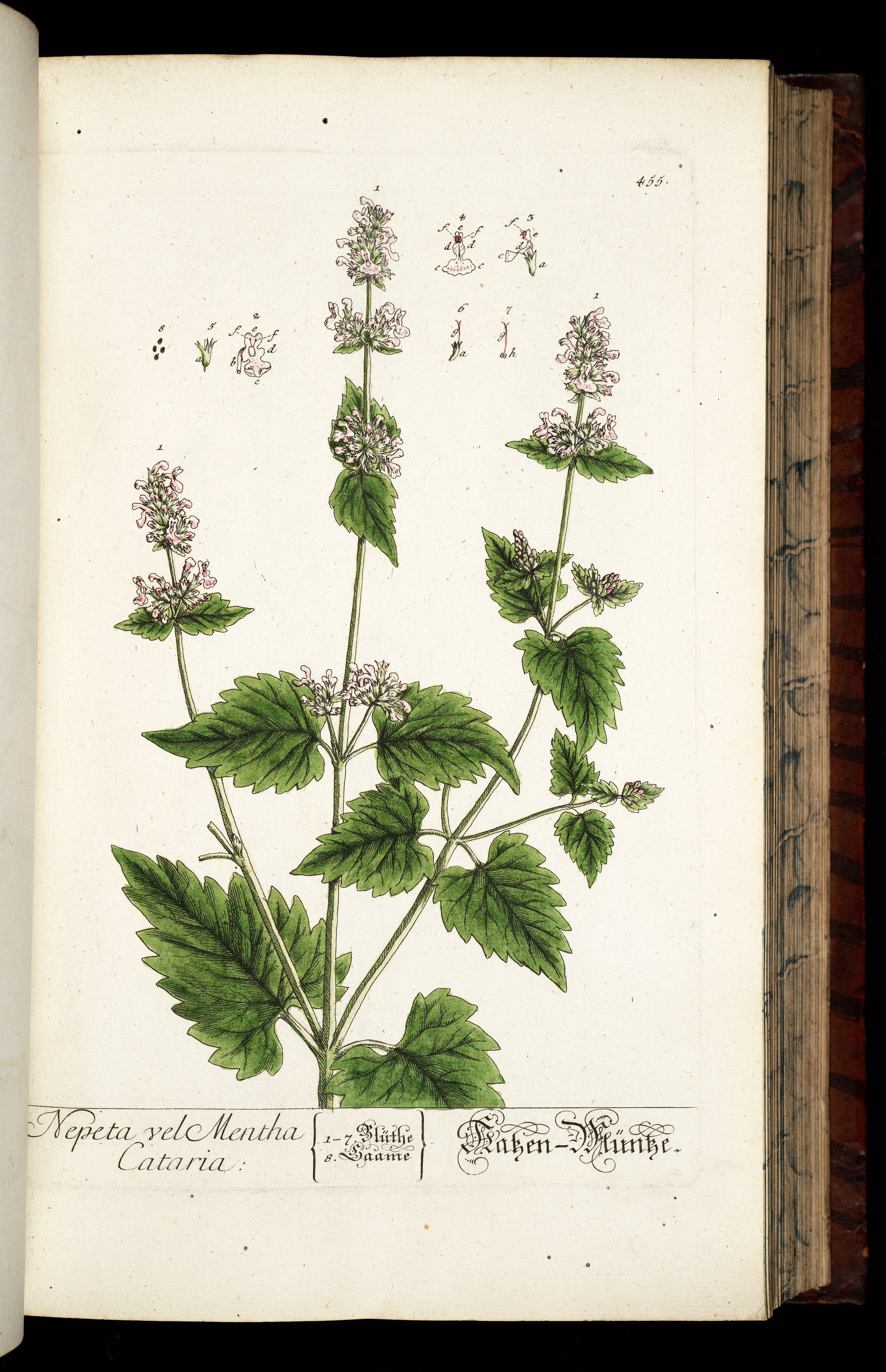 no full size  illustration available (3a)