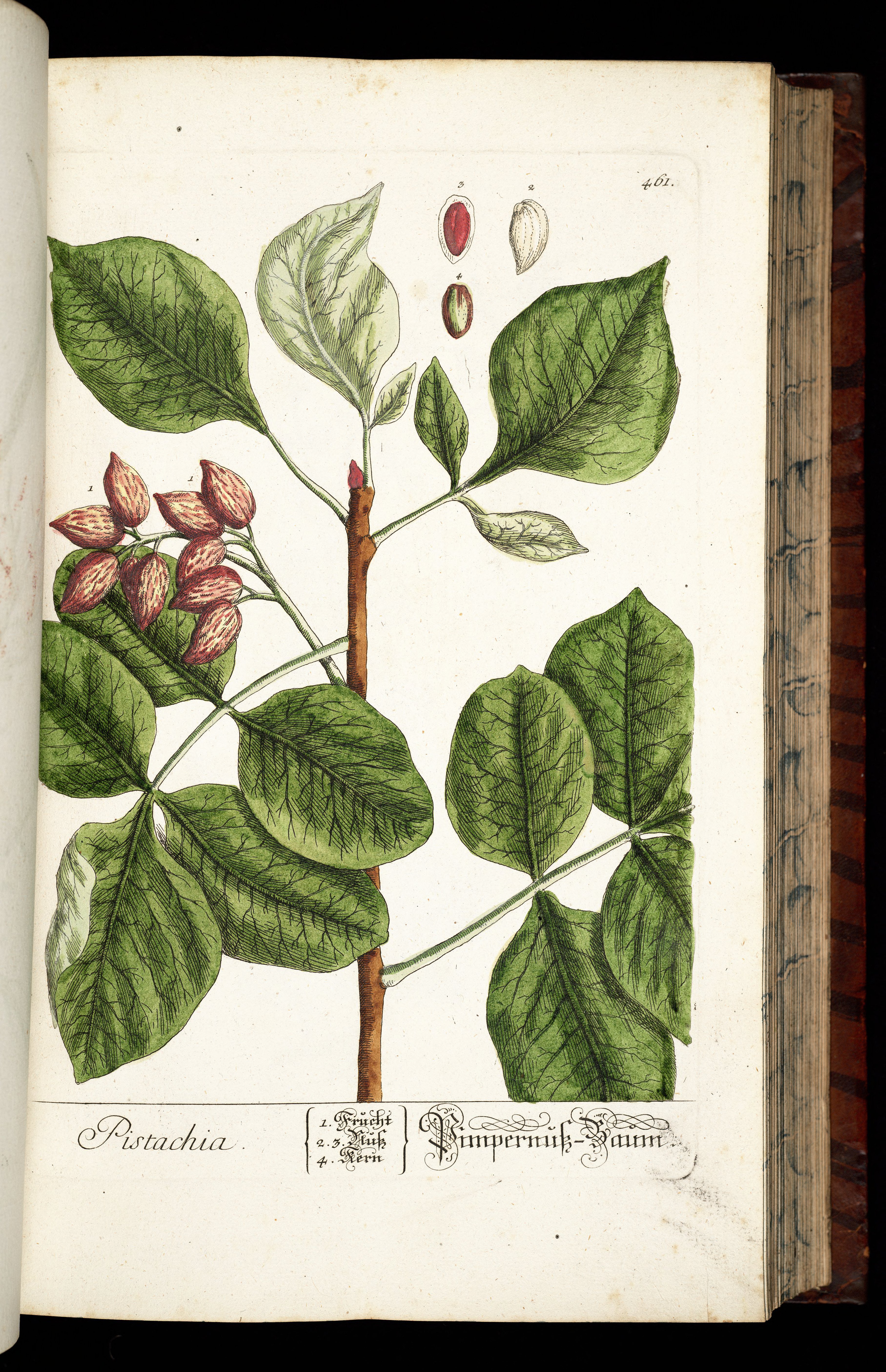 no full size  illustration available (3a)