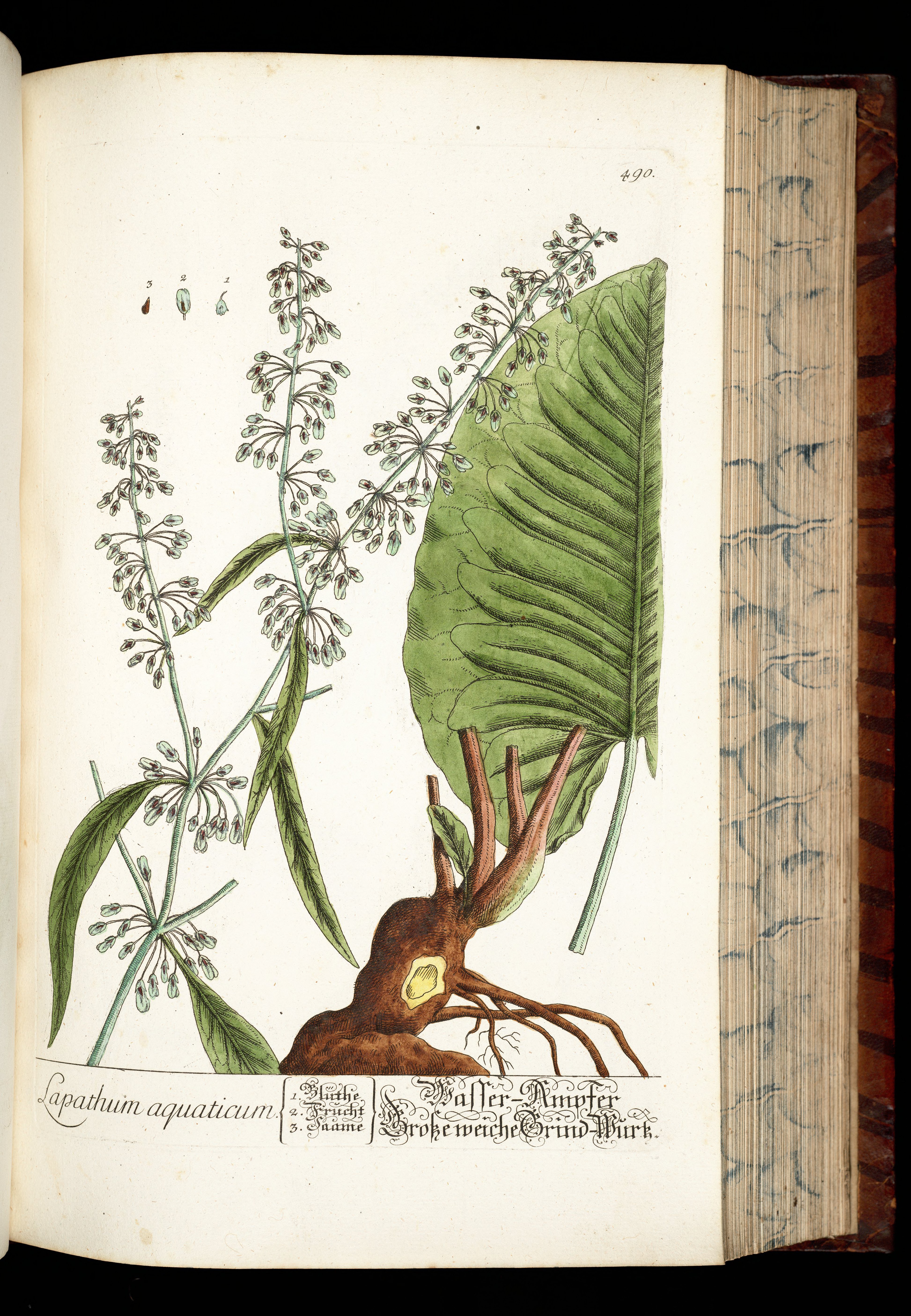 no full size  illustration available (3a)