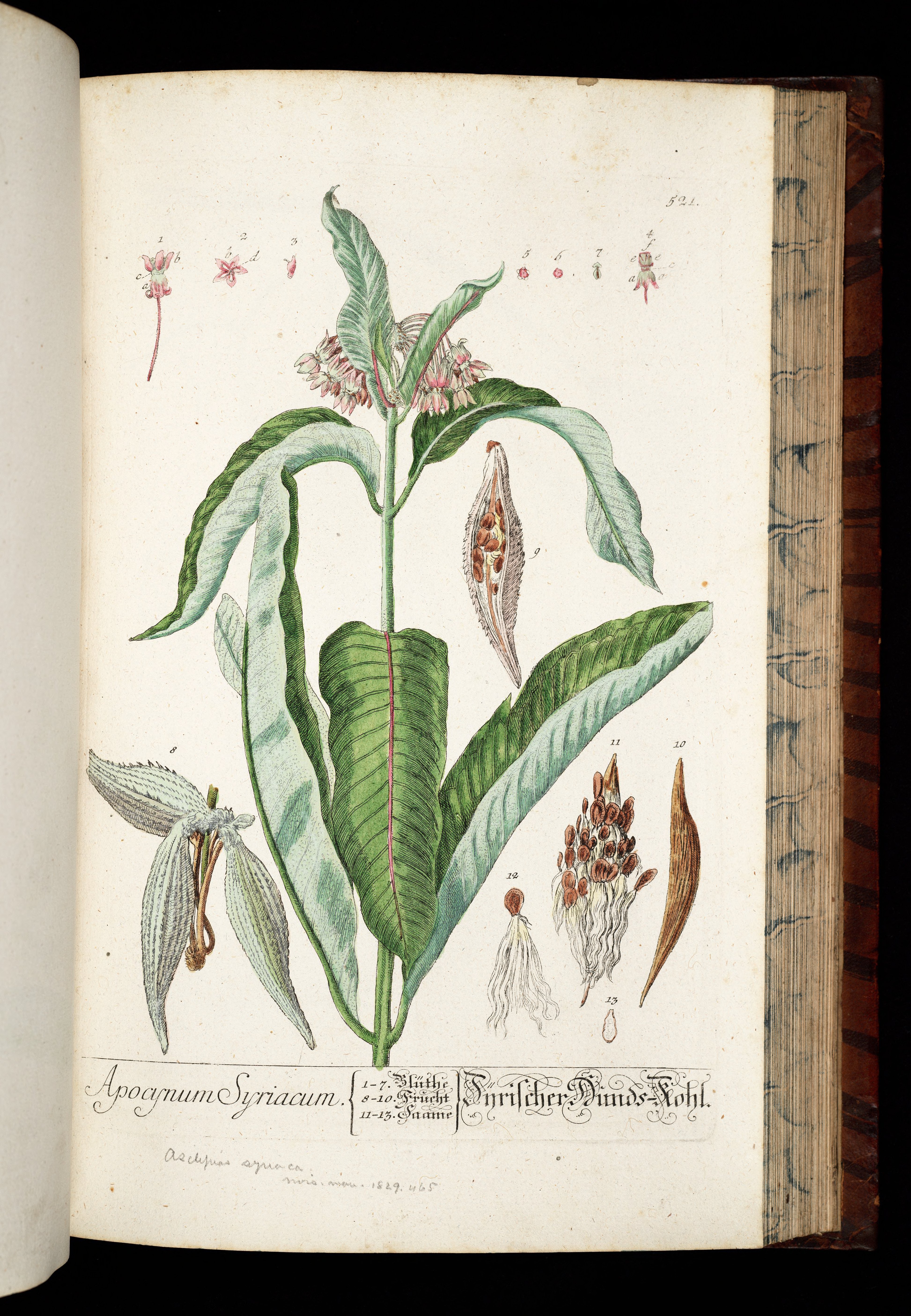 no full size  illustration available (3a)