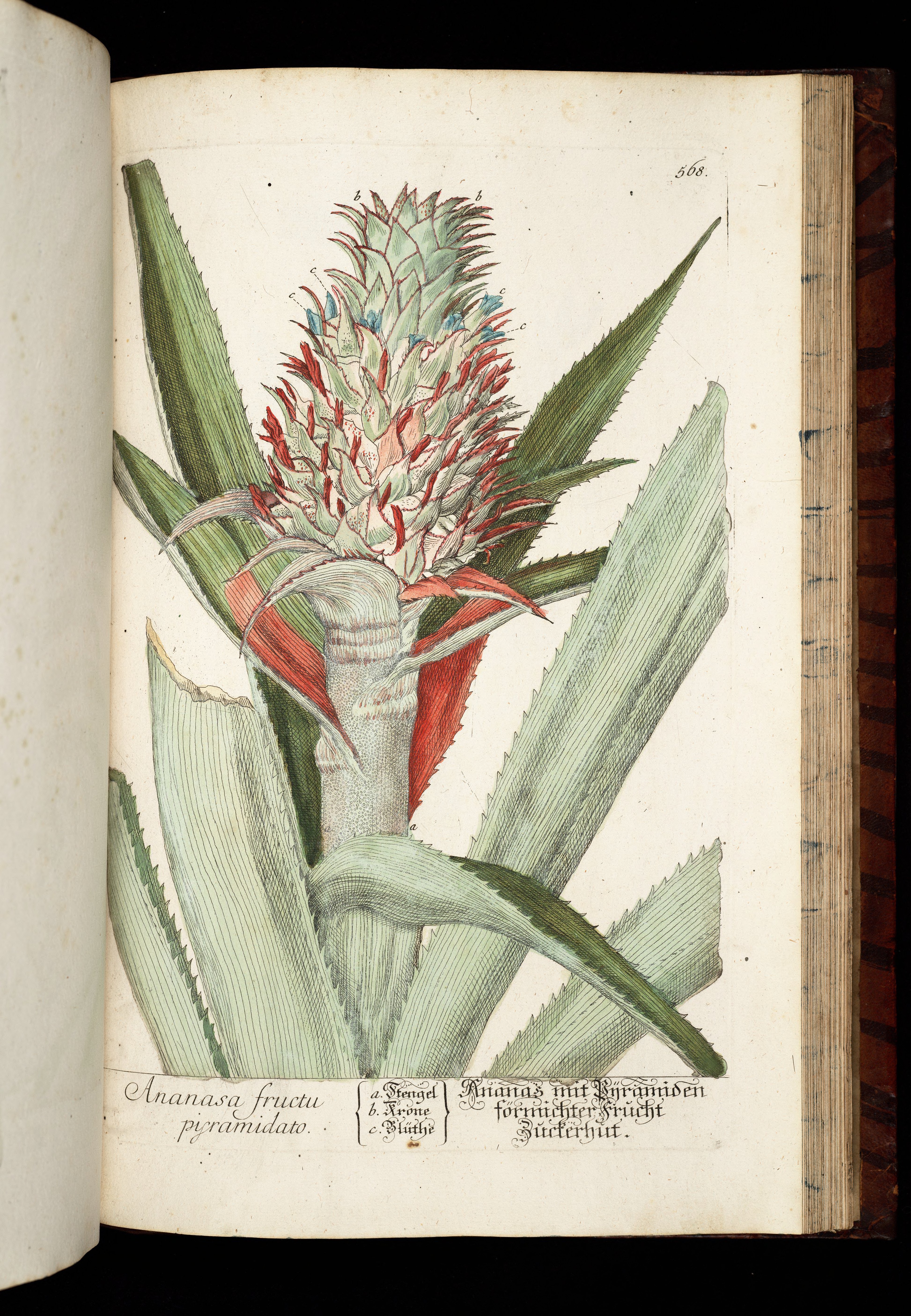 no full size  illustration available (3a)