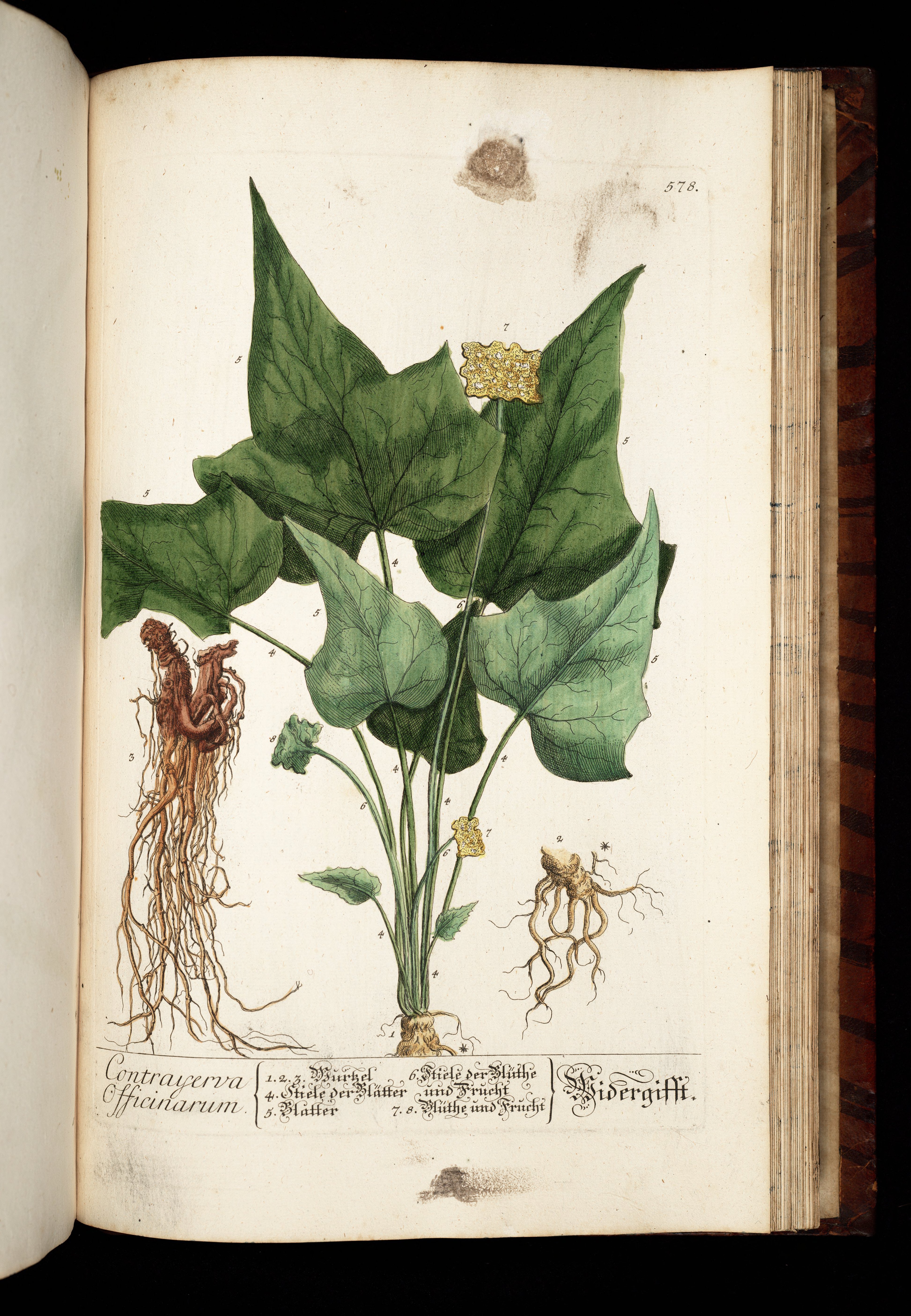 no full size  illustration available (3a)