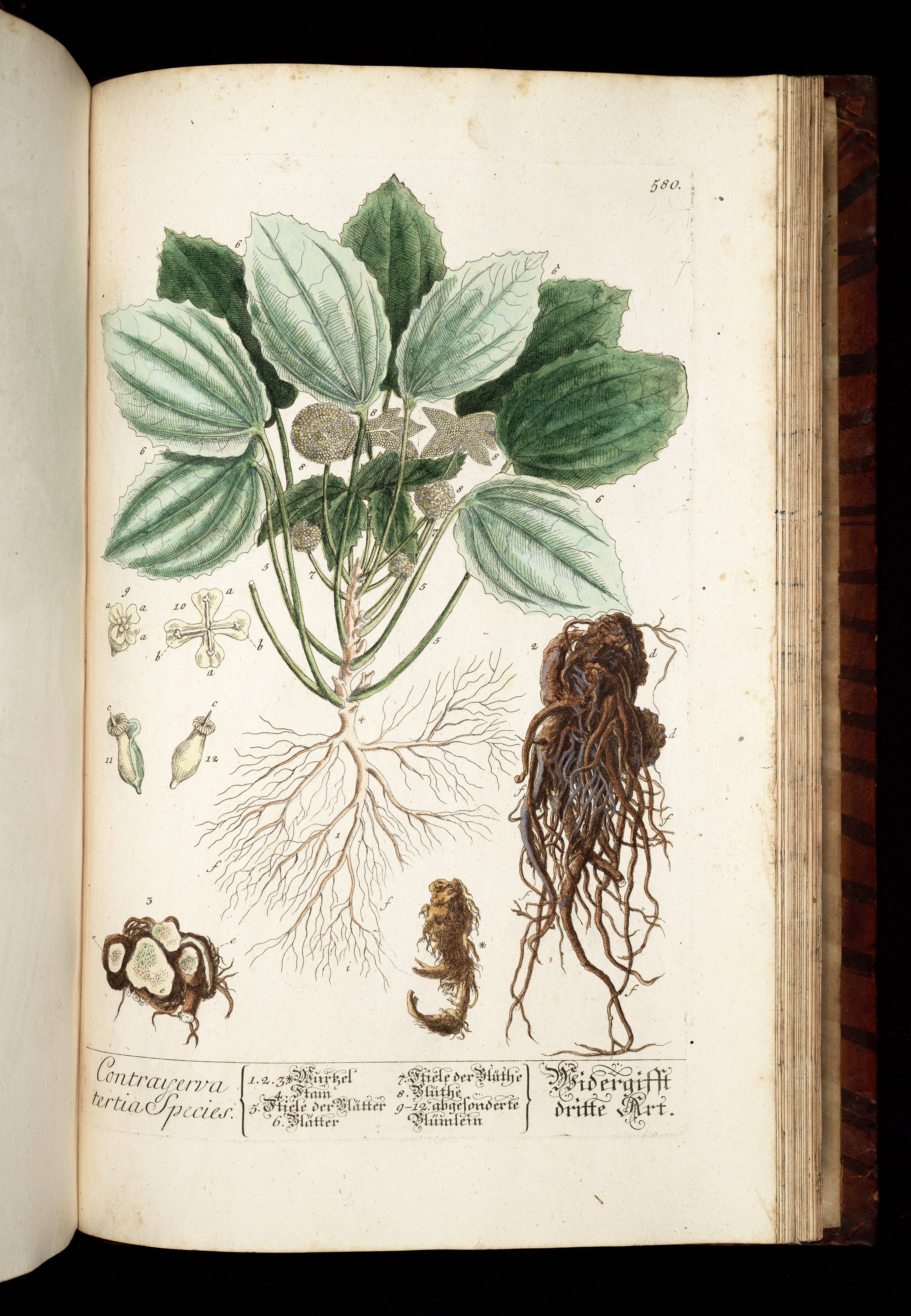 no full size  illustration available (3a)