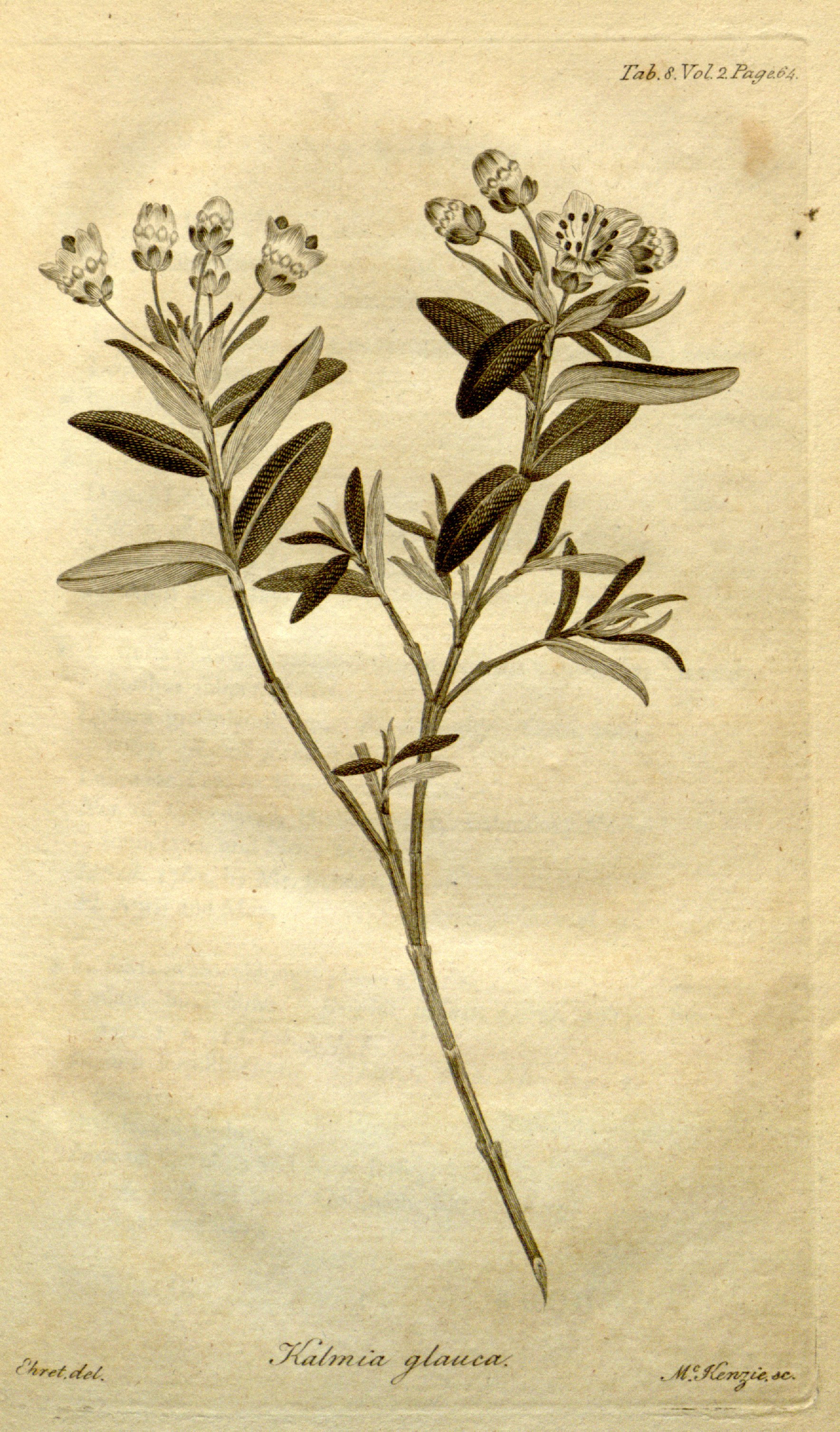 no full size  illustration available (3a)