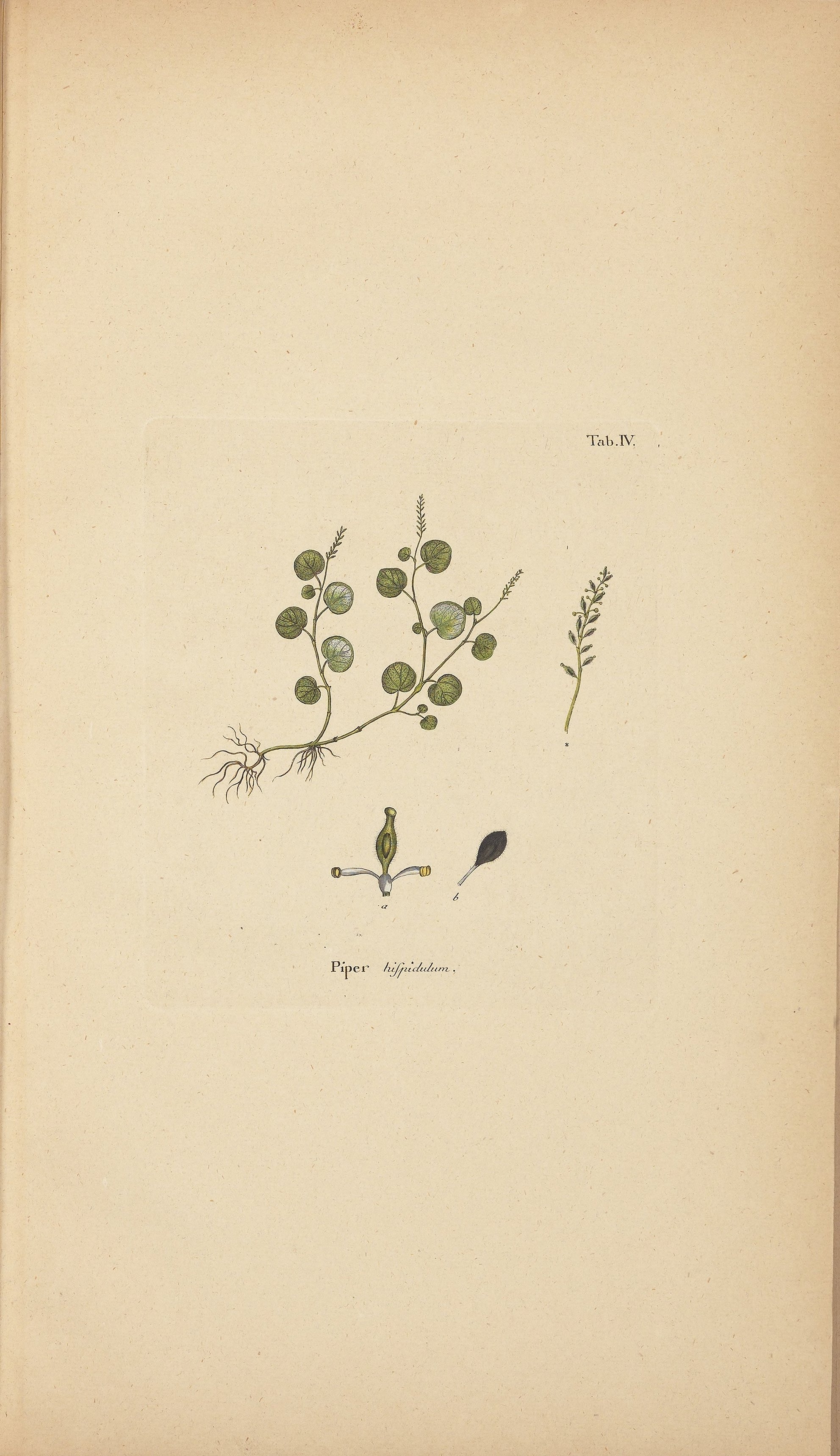 no full size  illustration available (3a)