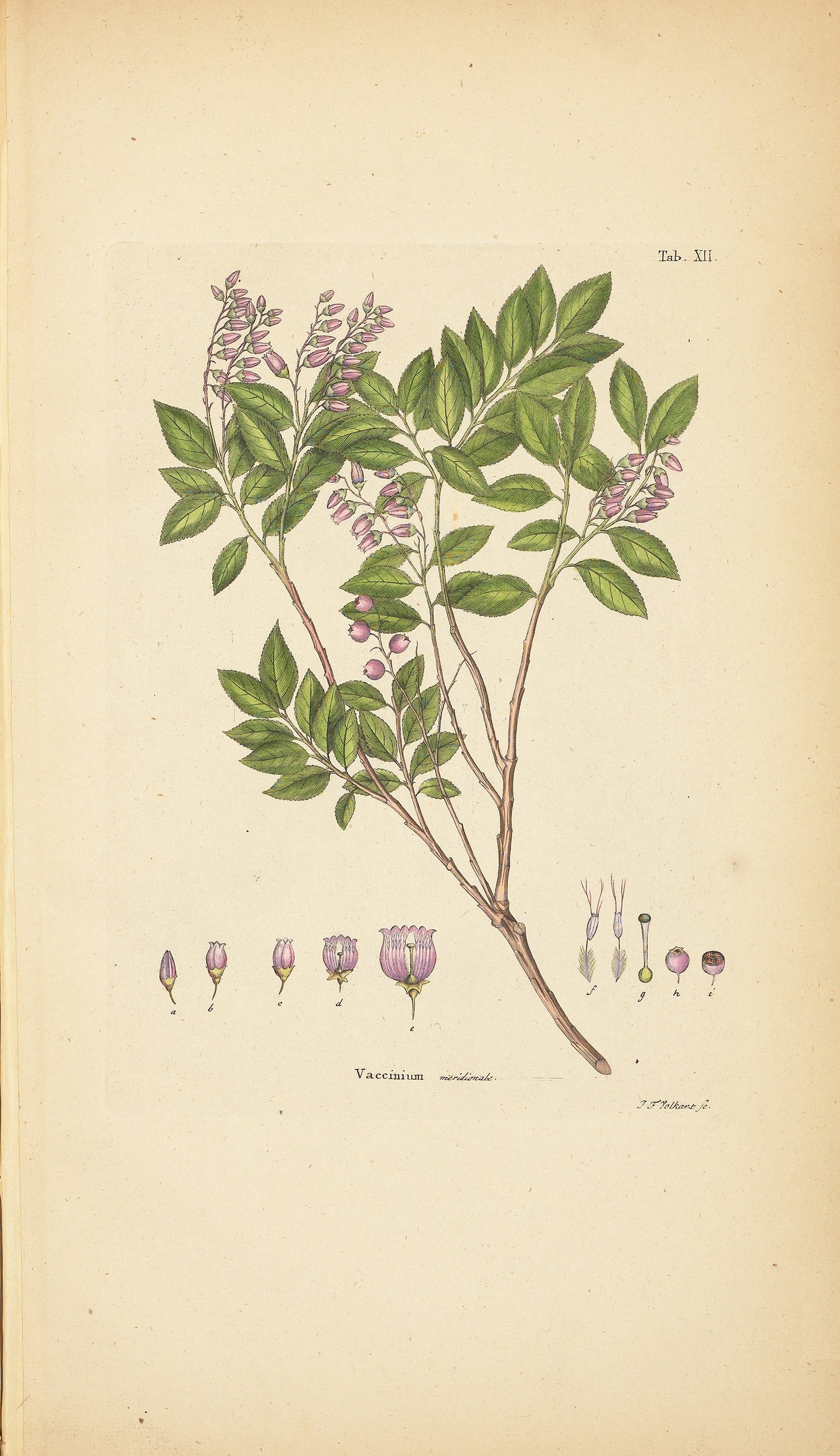 no full size  illustration available (3a)