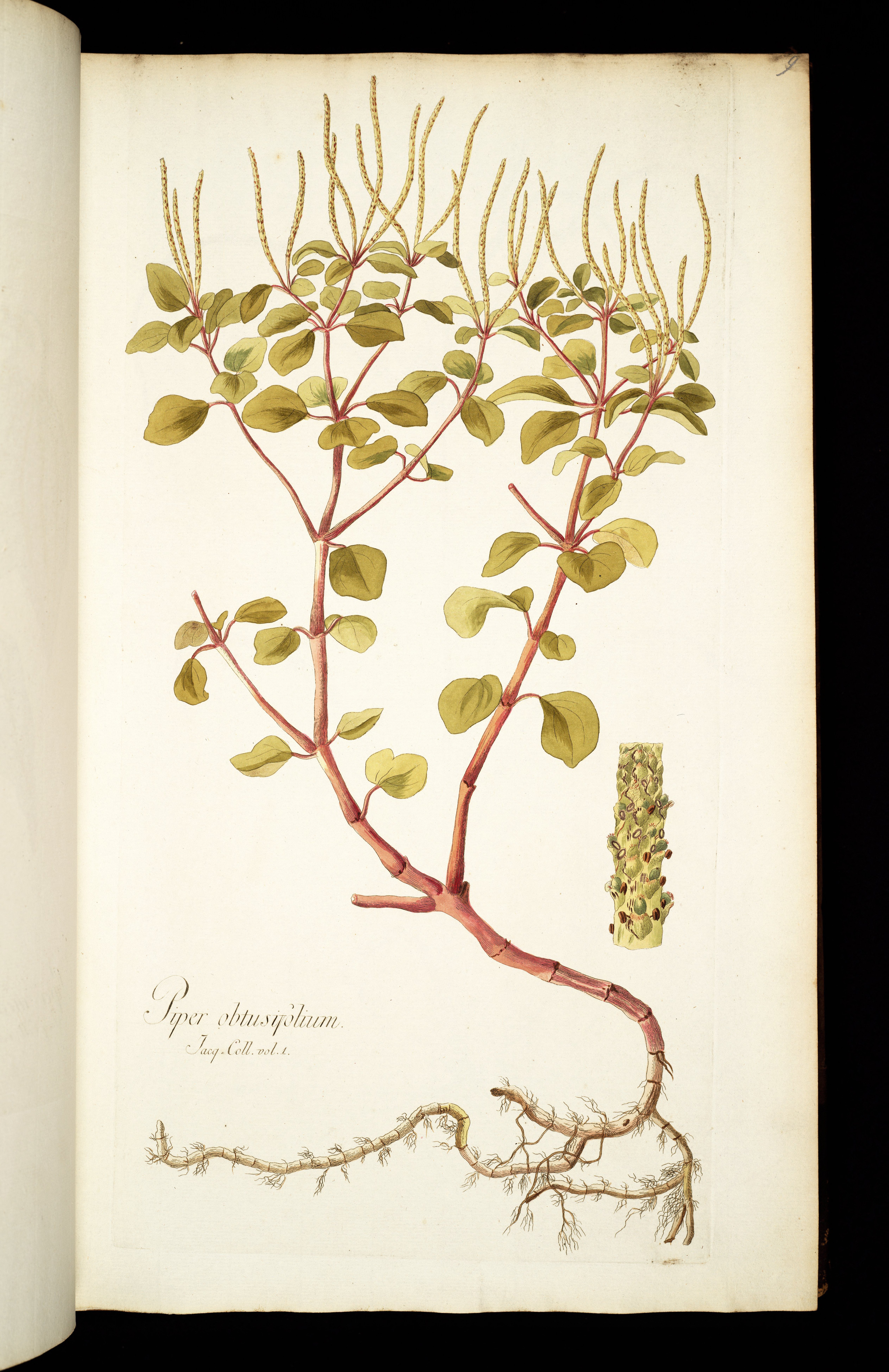 no full size  illustration available (3a)